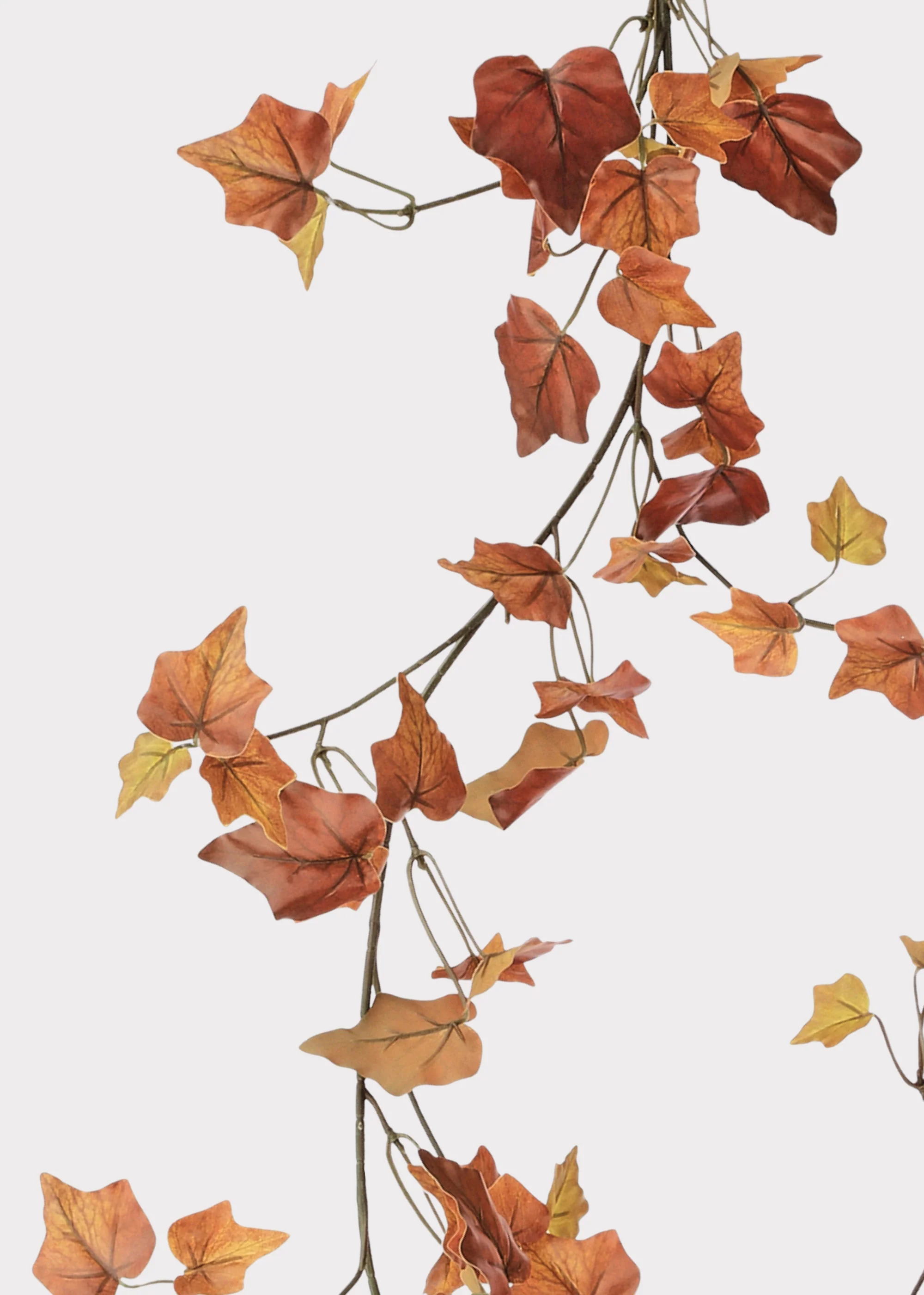 Fake Cottage Ivy Leaf Garland in Fall Hues - 66" - Image 3