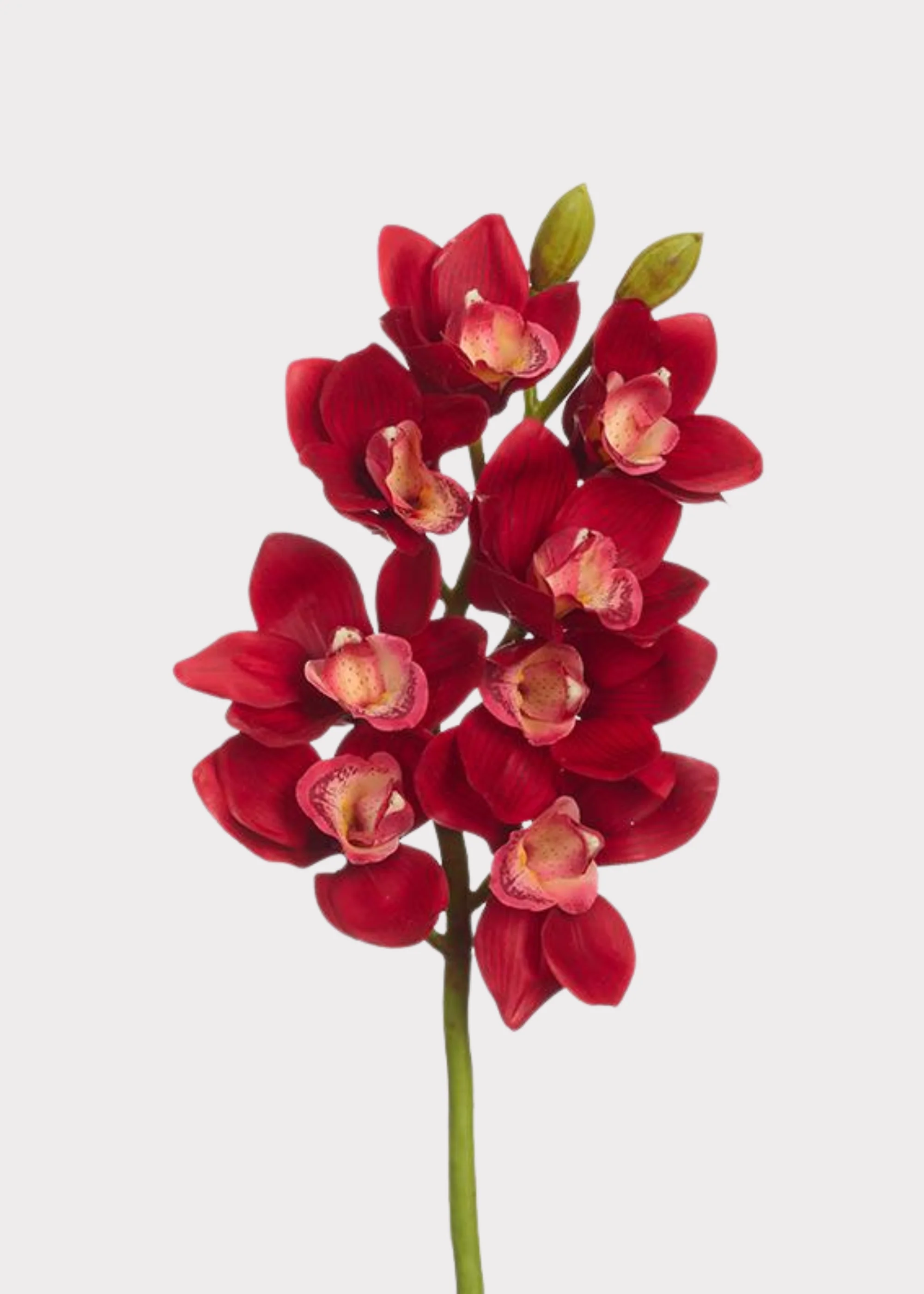 Fake Cymbidium Orchid Flowers in Red - 27"