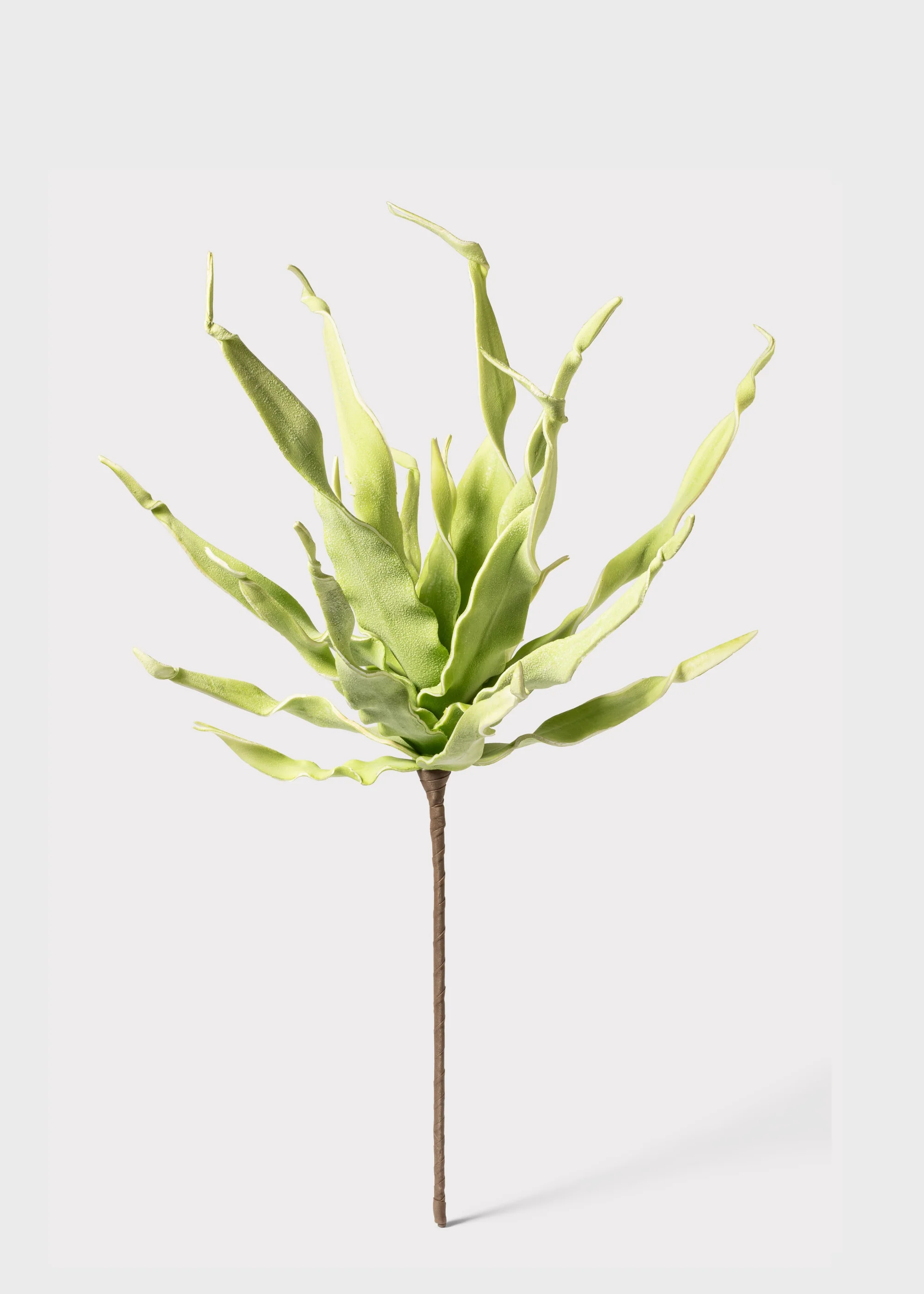 Fake Desert Succulent Spiral Dracaena Plant - 30" - Image 3