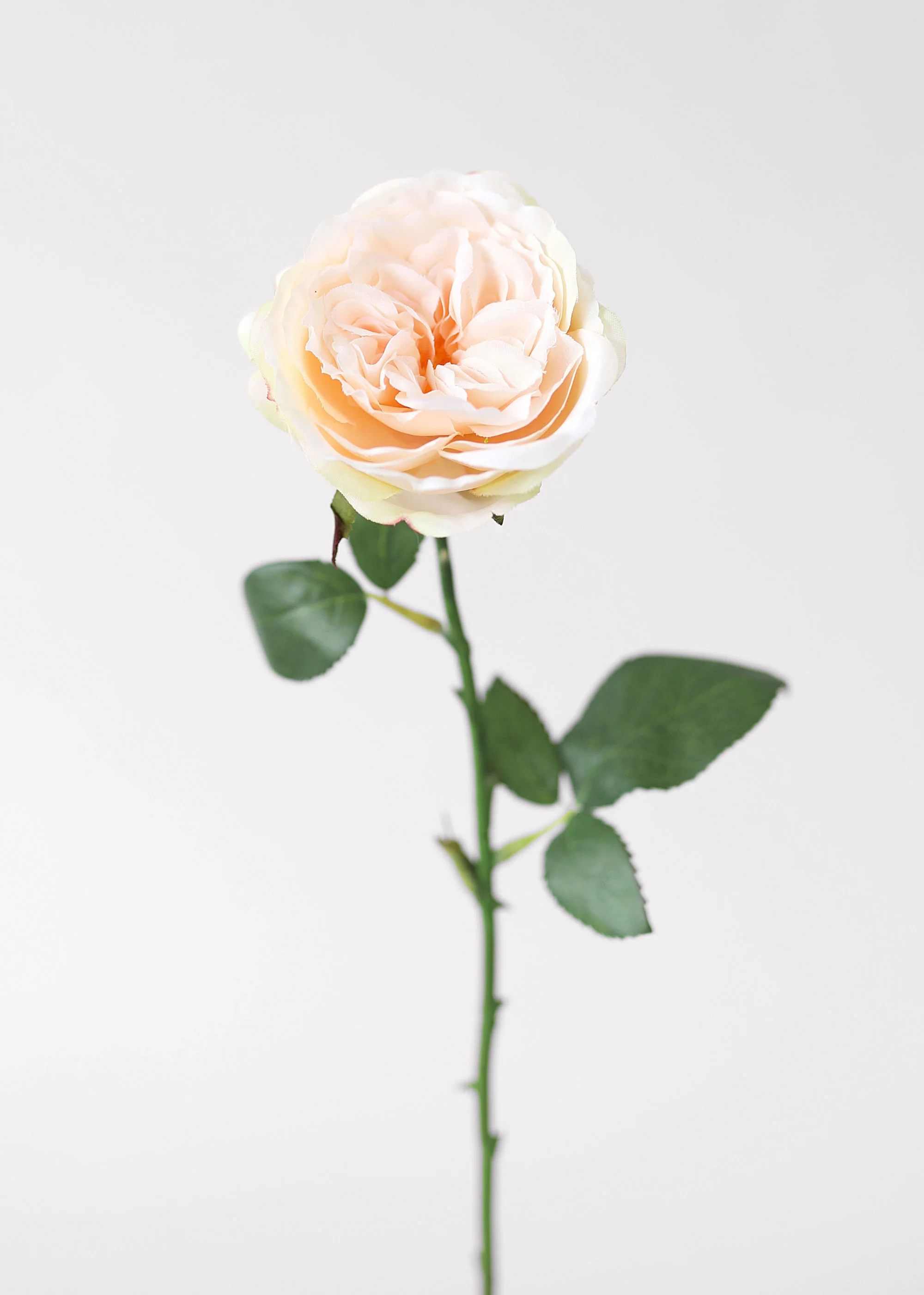 Fake English Cabbage Rose in Pink Apricot - 20.5"