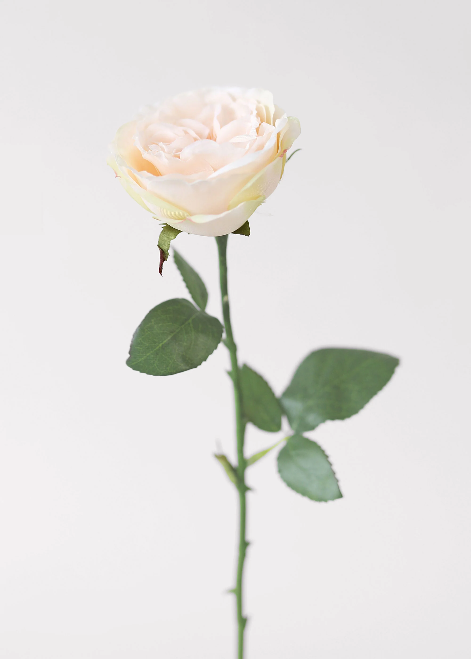 Fake English Cabbage Rose in Pink Apricot - 20.5" - Image 6