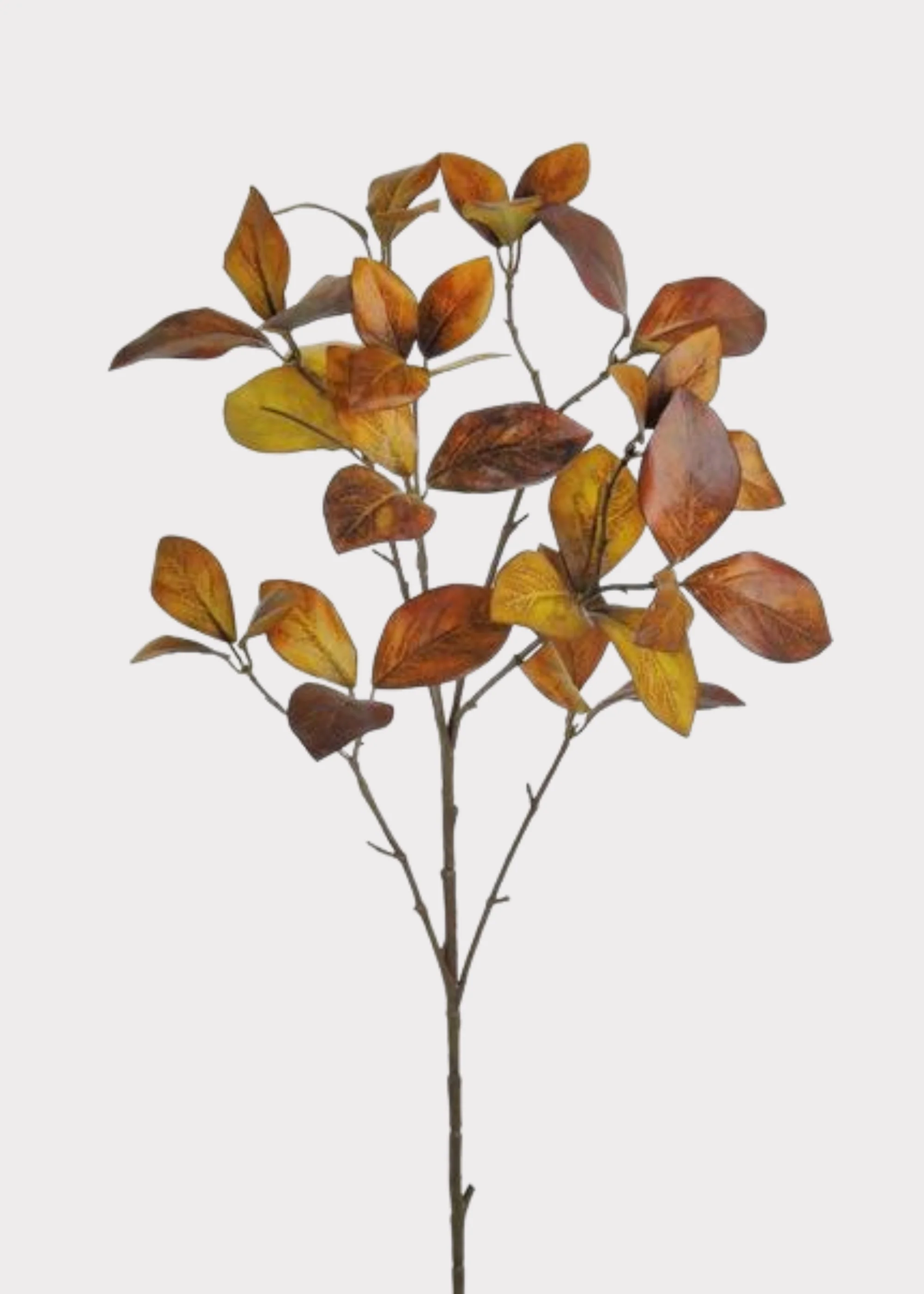 Fake Enkianthus Leaf Branch in Warm Fall Brown Hues - 30"