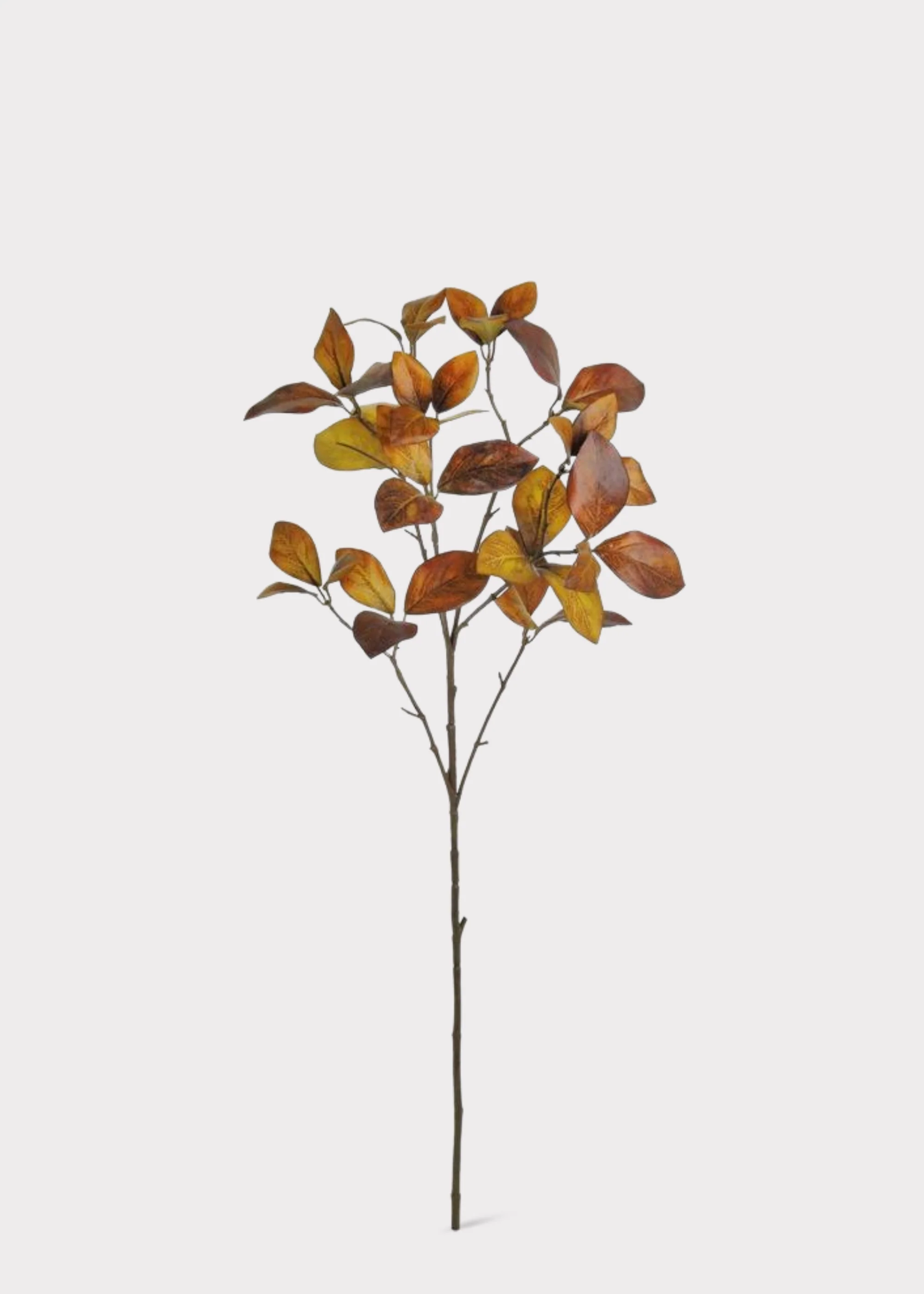 Fake Enkianthus Leaf Branch in Warm Fall Brown Hues - 30" - Image 2