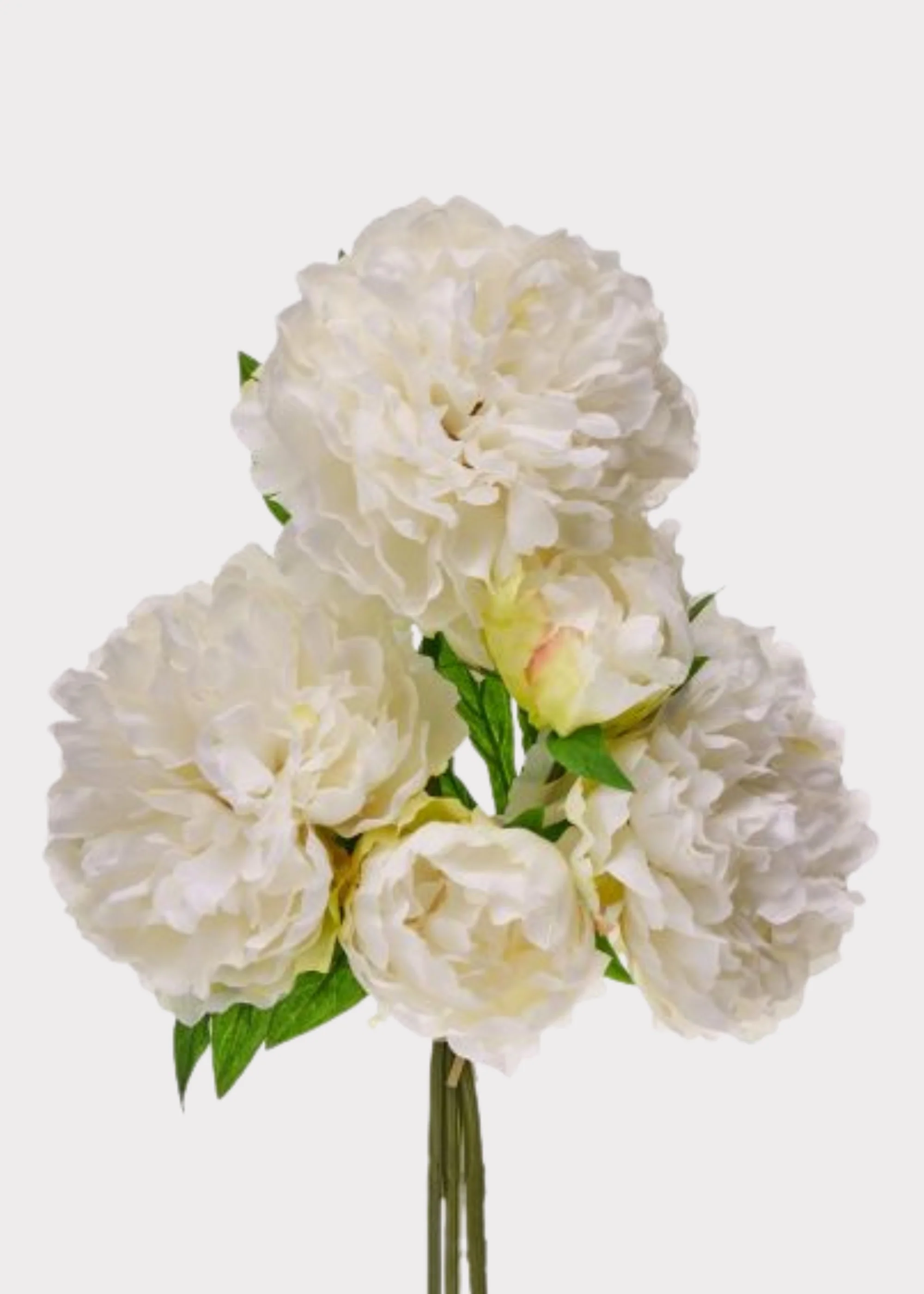 Fake Flower Bundle of 5 Peonies in Cream - 15"