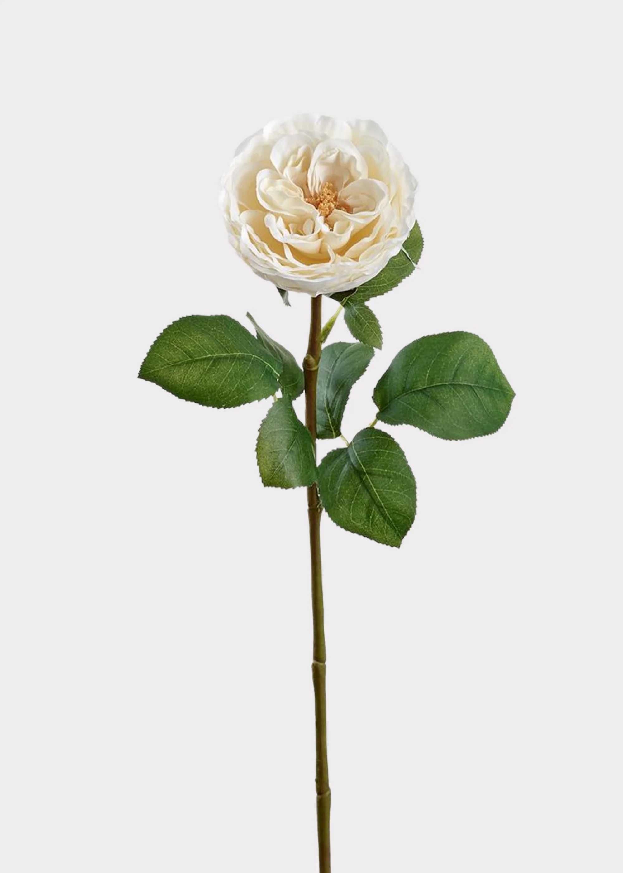 Fake Flower Rose in Cream - 26"