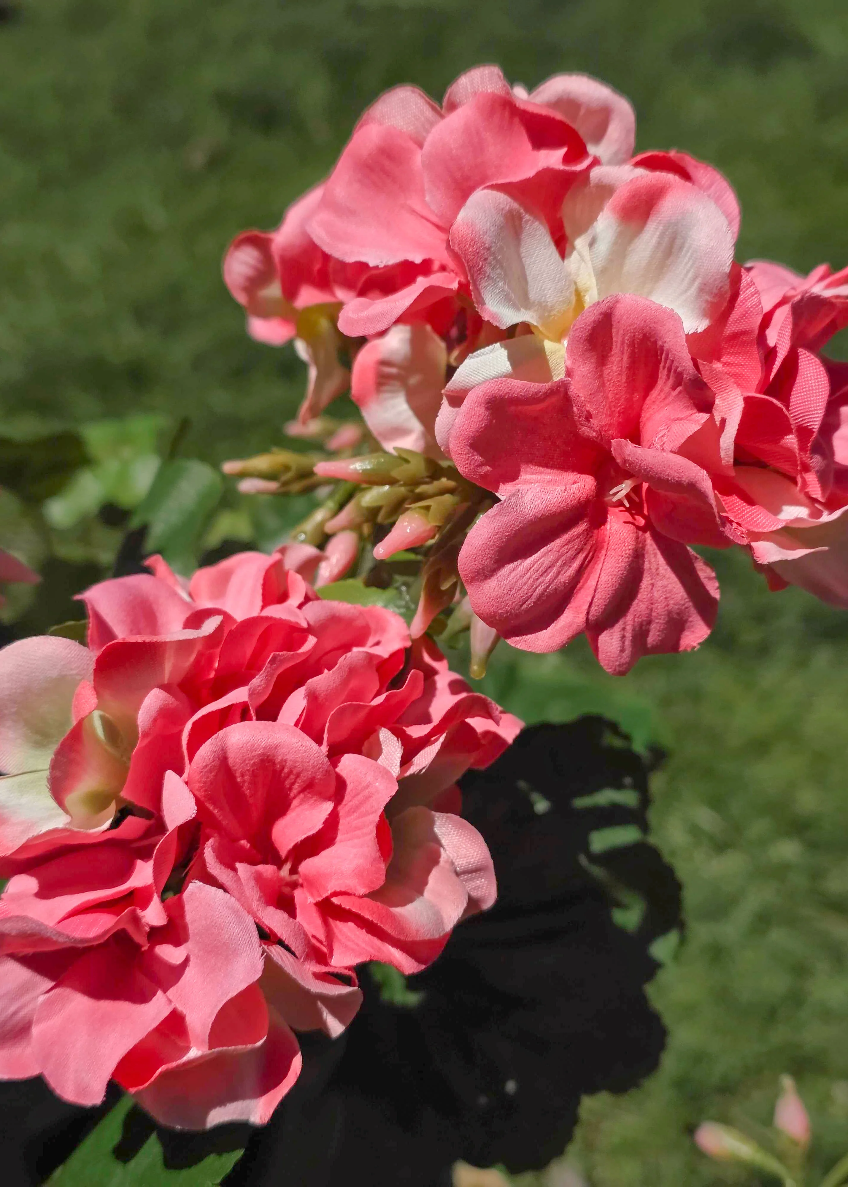Fake Geranium Indoor/Outdoor Water Resistant Bush in Pink - 19" - Image 3