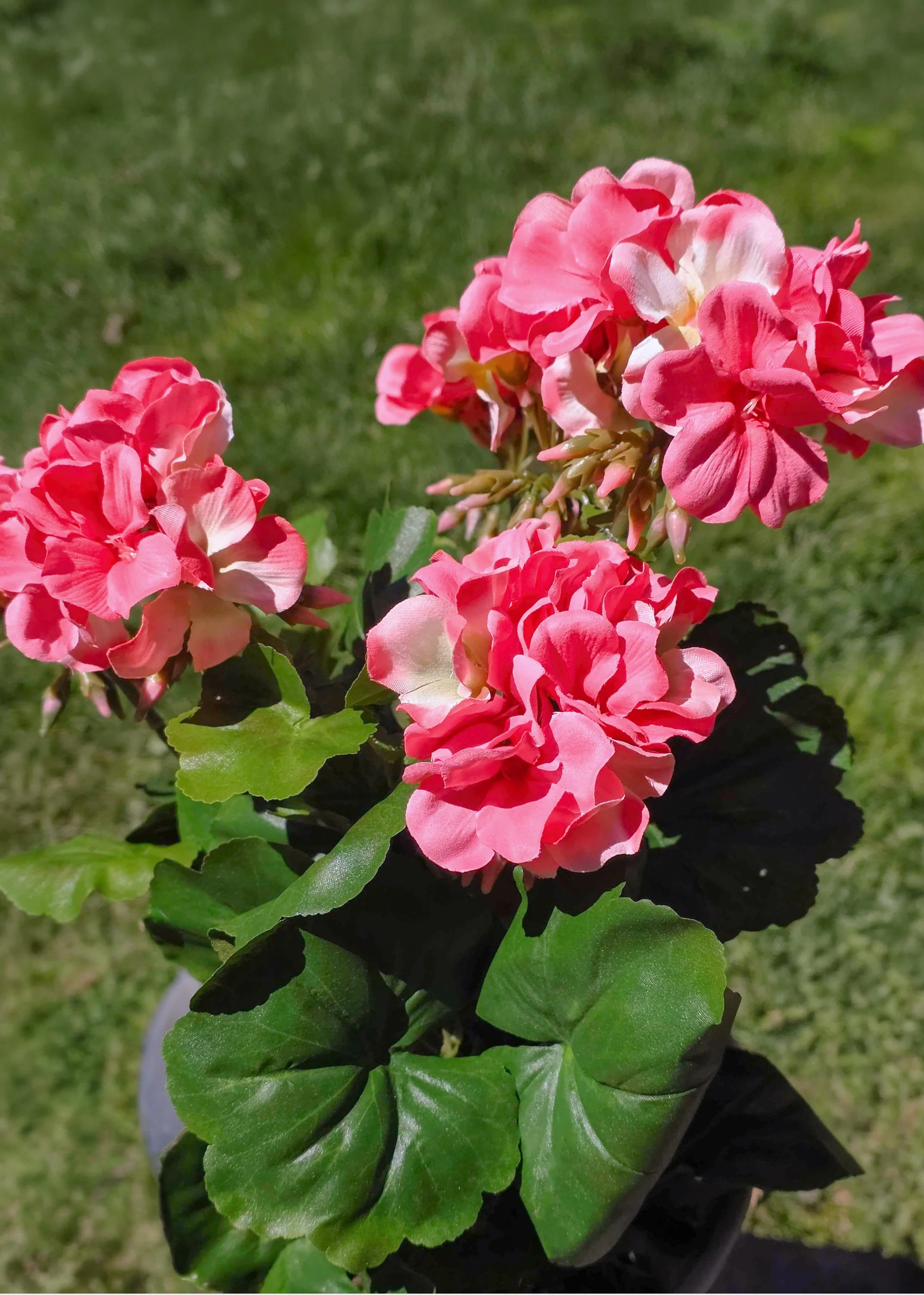 Fake Geranium Indoor/Outdoor Water Resistant Bush in Pink - 19" - Image 4