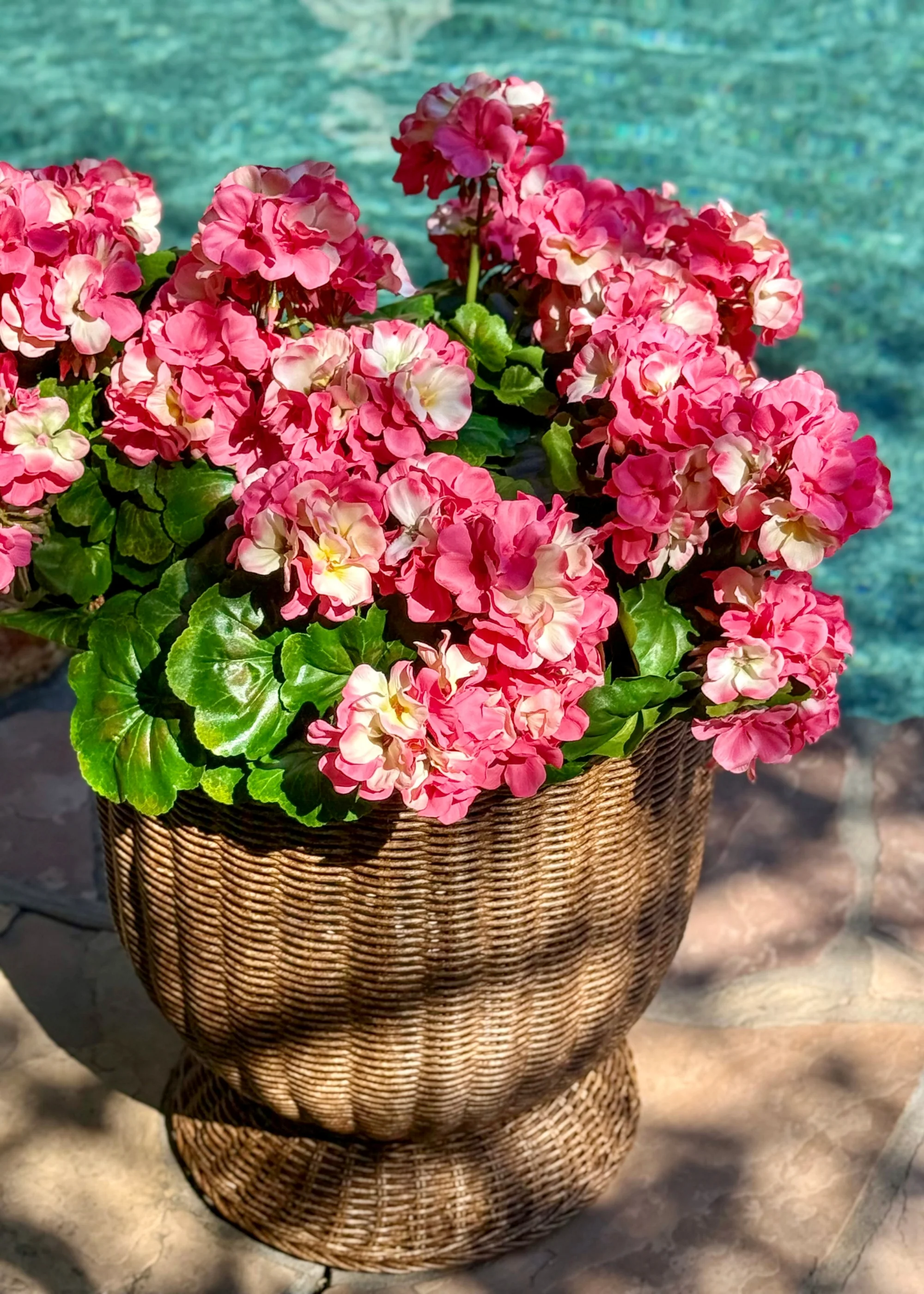 Fake Geranium Indoor/Outdoor Water Resistant Bush in Pink - 19" - Image 6