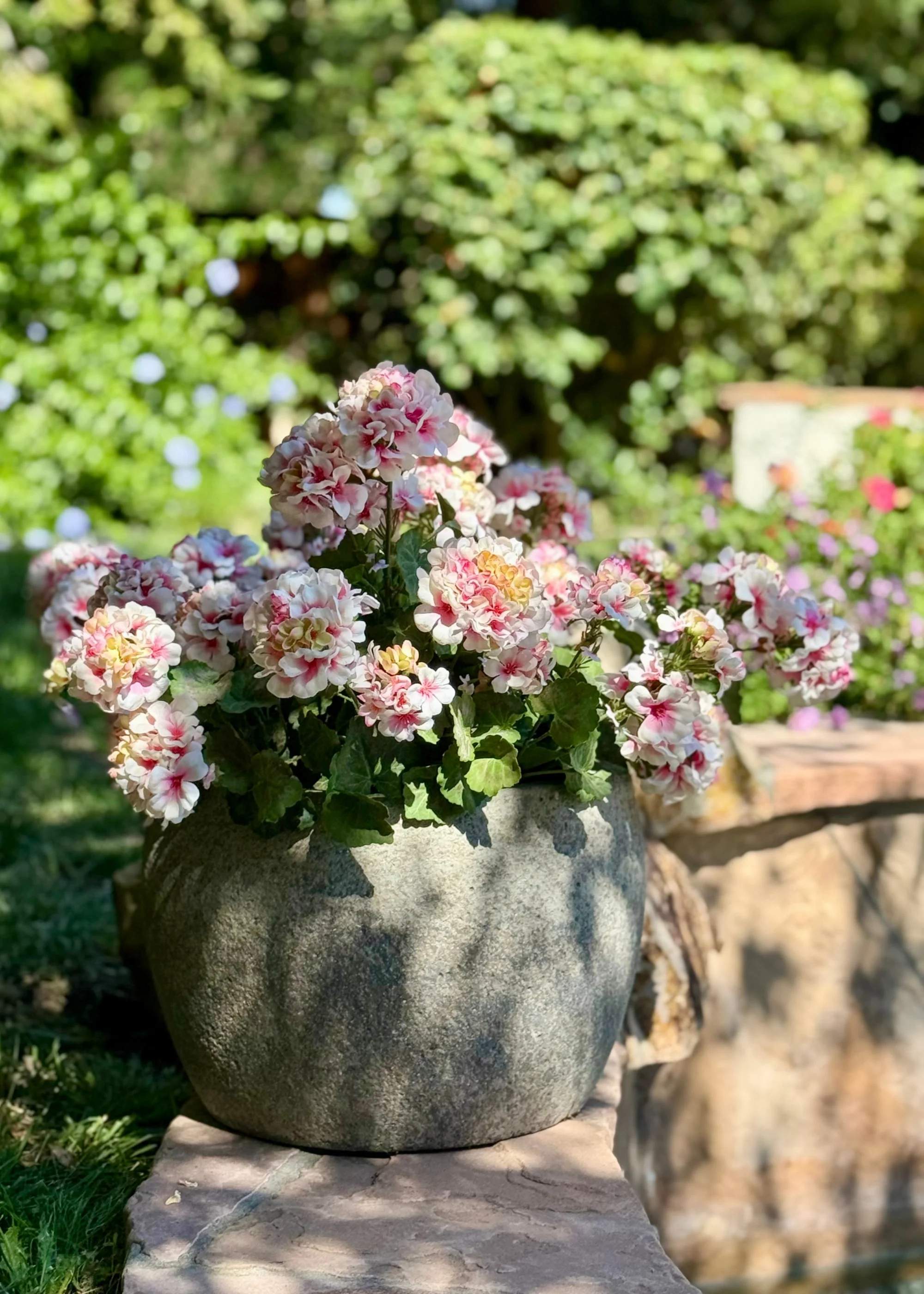 Fake Indoor/Outdoor Pink Geranium Water Resistant Bush - 24" - Image 3