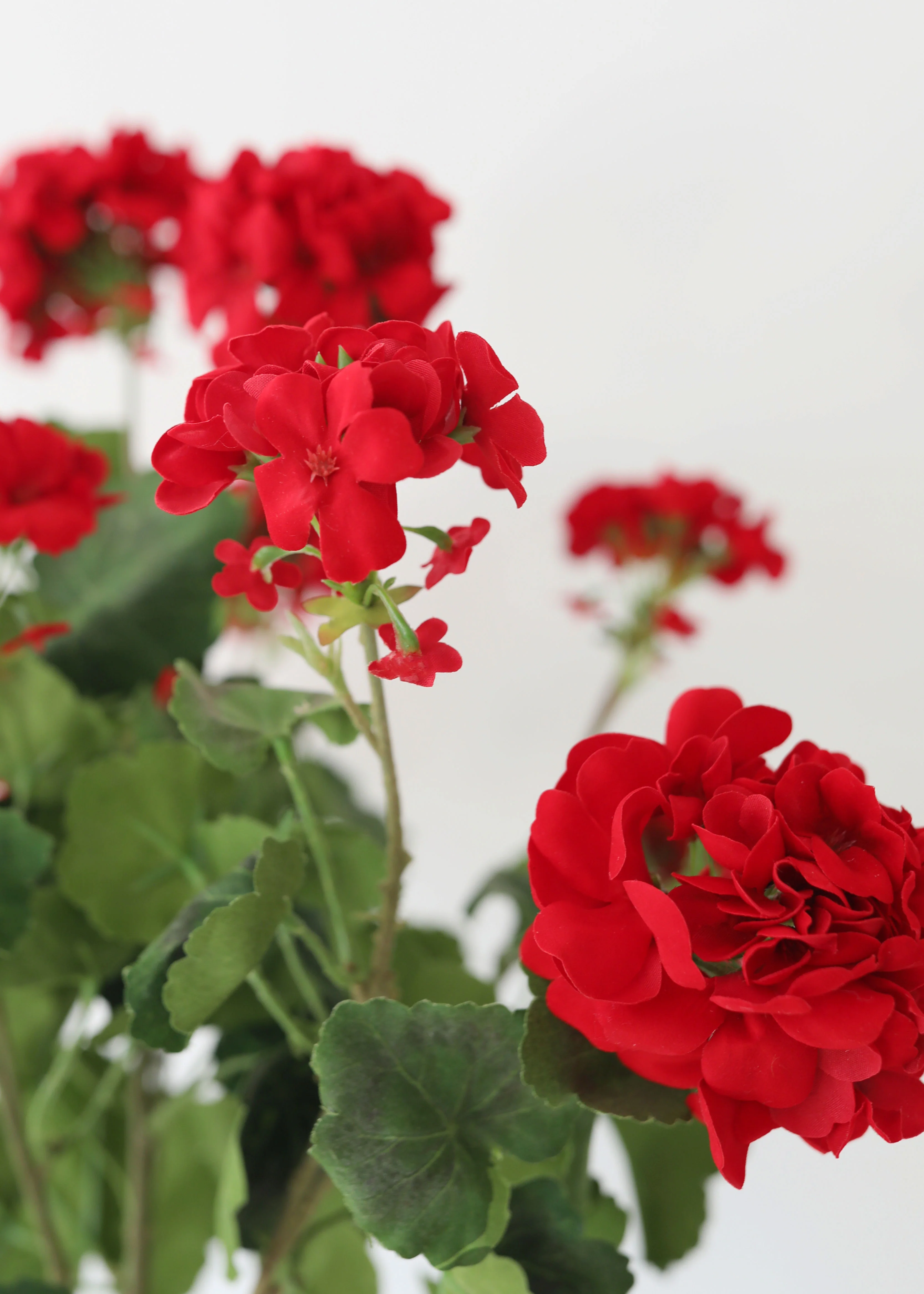 Fake Indoor/Outdoor Red Geranium Water Resistant Bush - 24" - Image 4