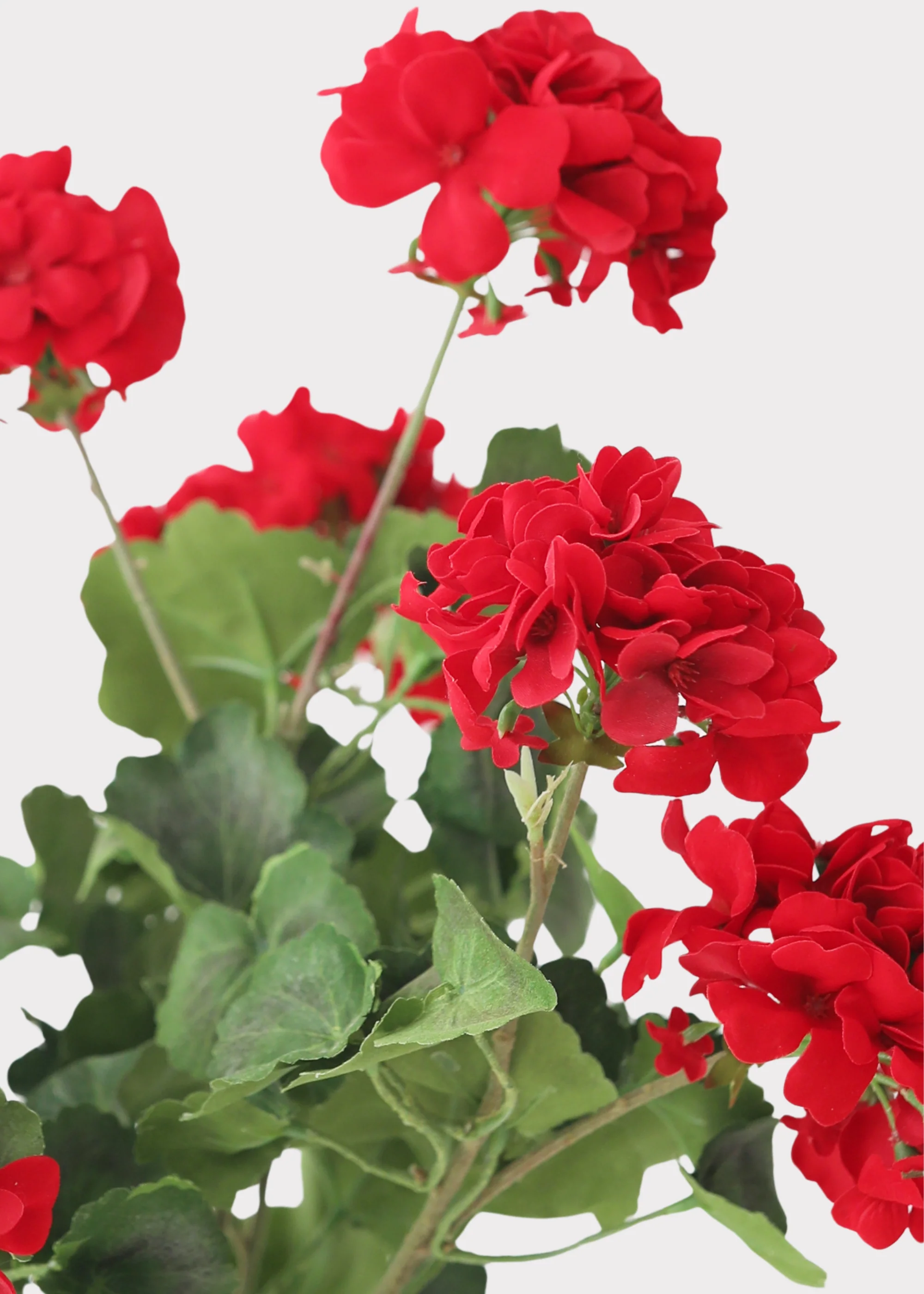 Fake Indoor/Outdoor Red Geranium Water Resistant Bush - 24" - Image 5