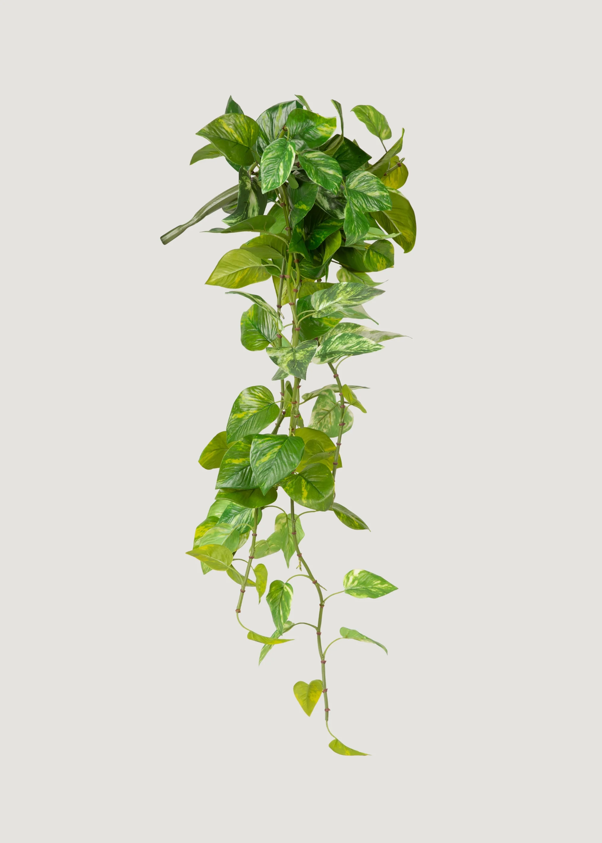 Natural Touch Variegated Pothos - Fake Hanging Plant - 27" - Image 2