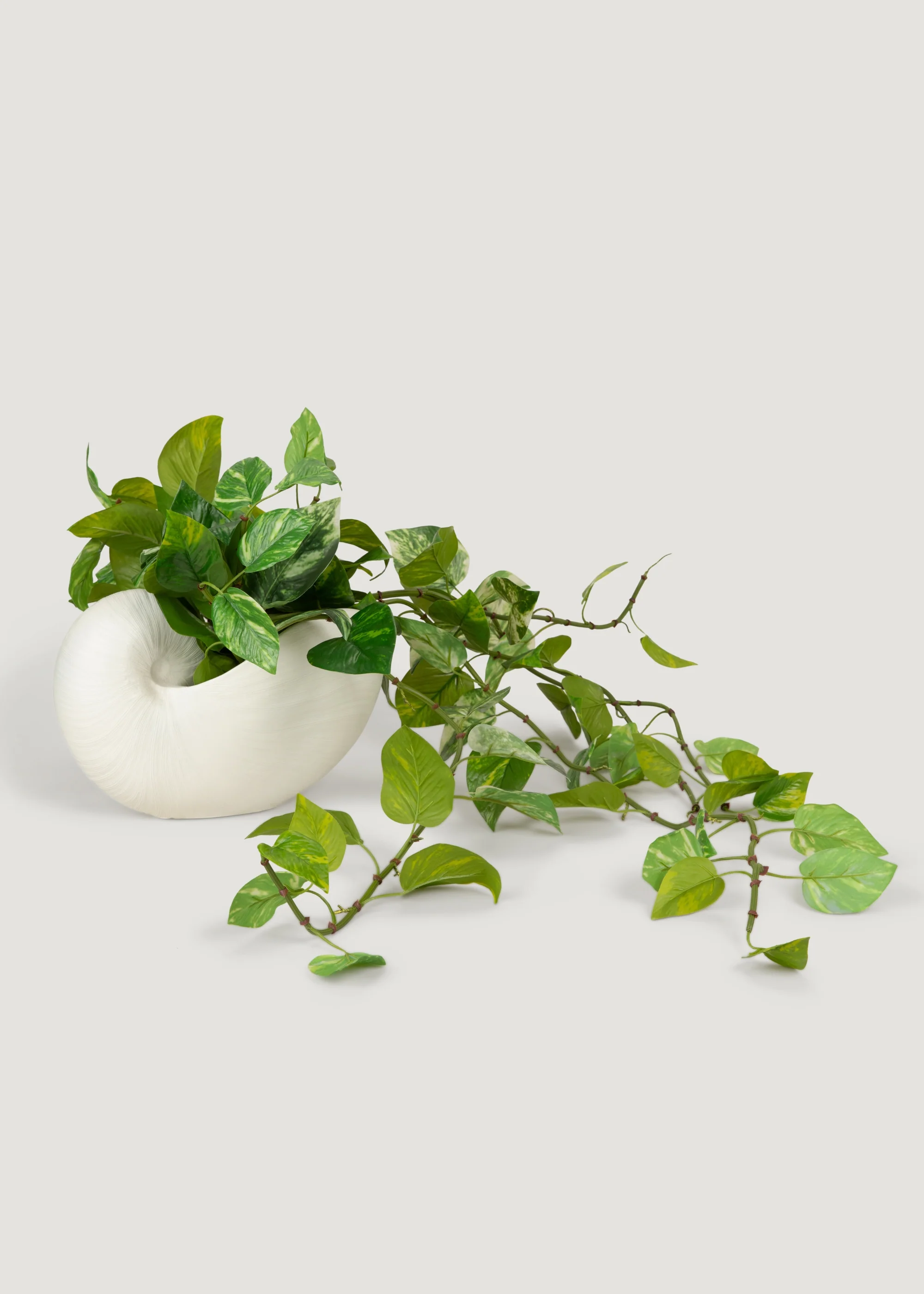 Natural Touch Variegated Pothos - Fake Hanging Plant - 27" - Image 3