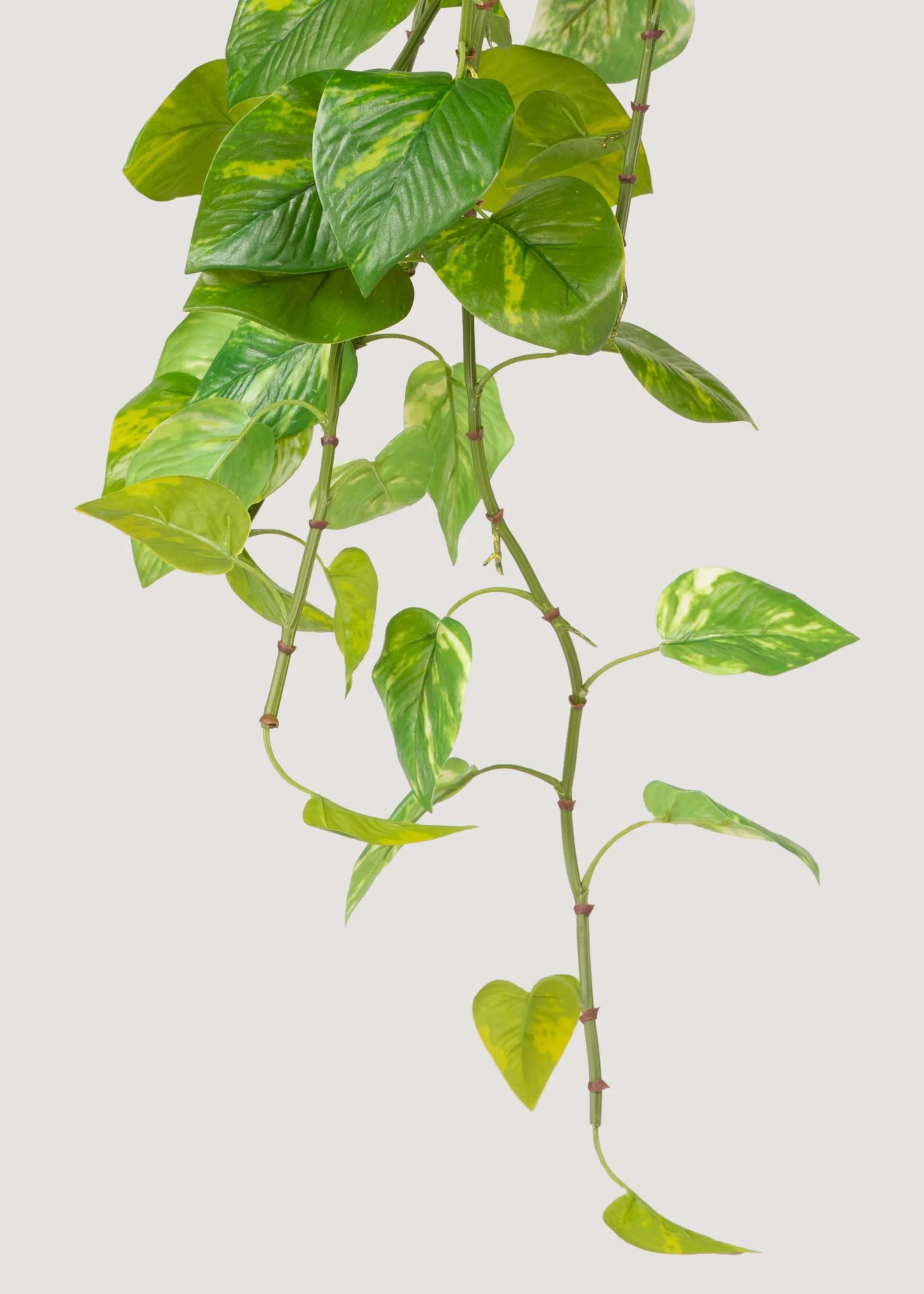 Natural Touch Variegated Pothos - Fake Hanging Plant - 27" - Image 5