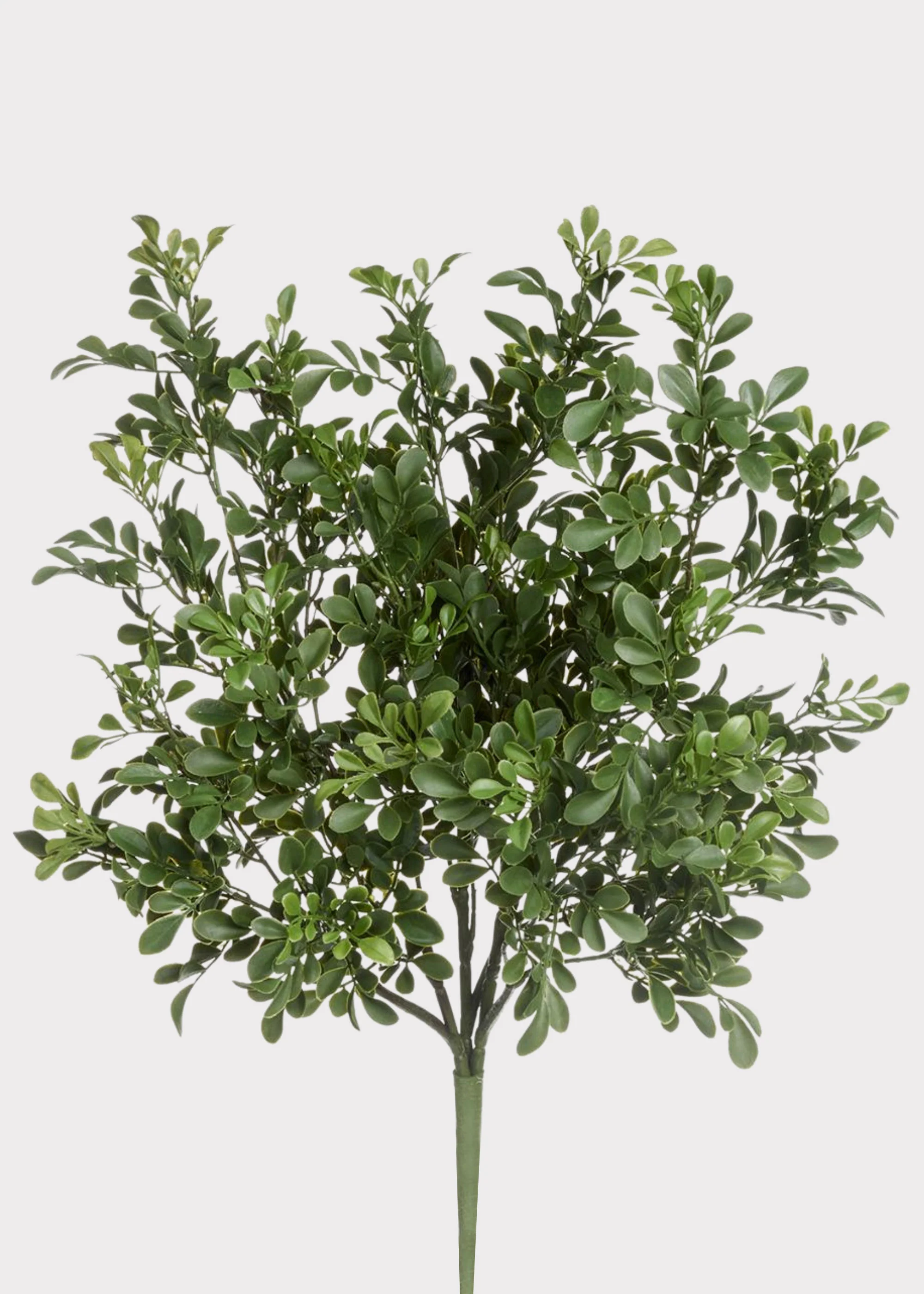 Fake Plants UV Treated Indoor/Outdoor Boxwood Bush - 24"