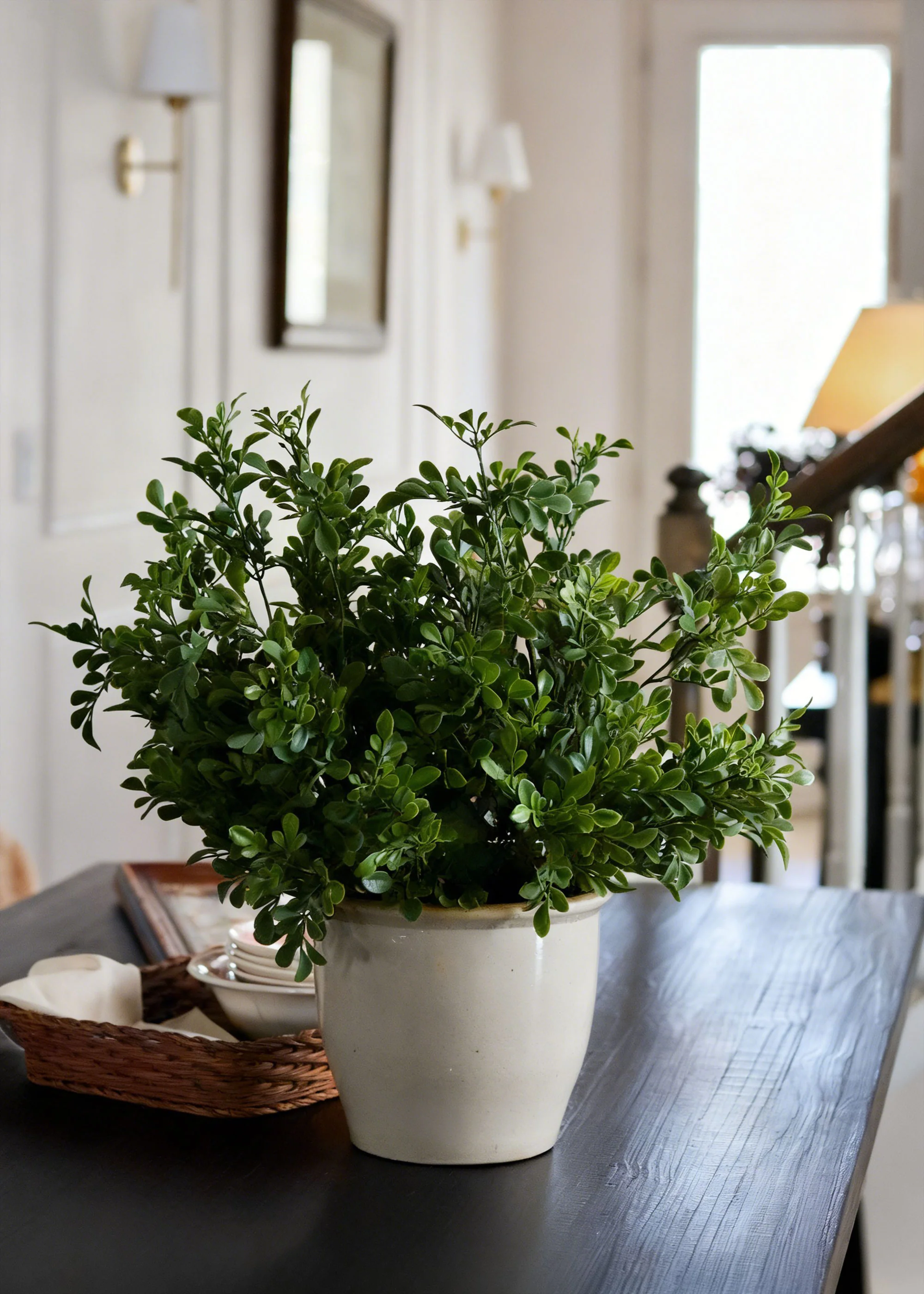 Fake Plants UV Treated Indoor/Outdoor Boxwood Bush - 24" - Image 2