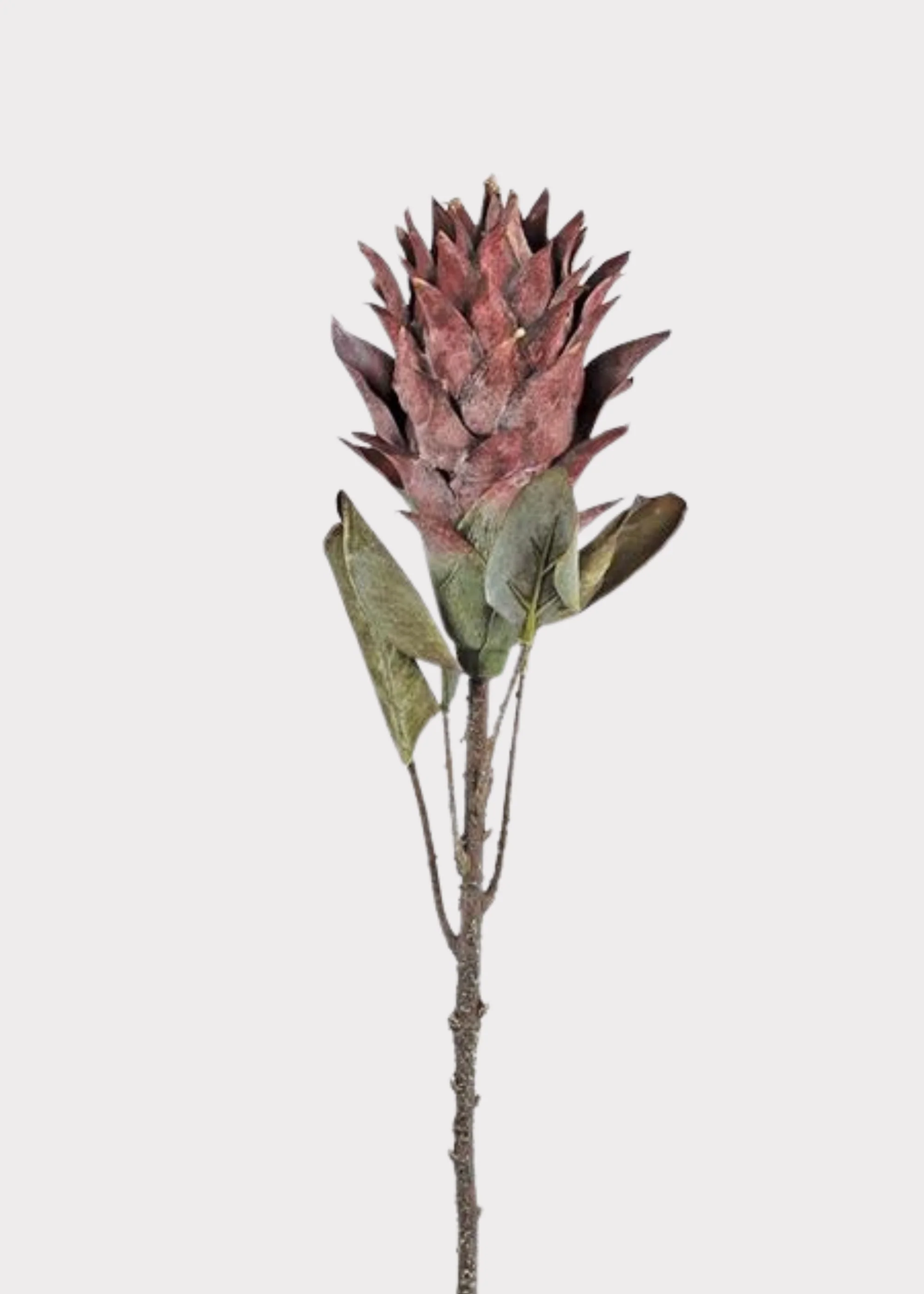 Fake Protea Tropical Flower Stem in Earthy Fall Wine Hue - 30"