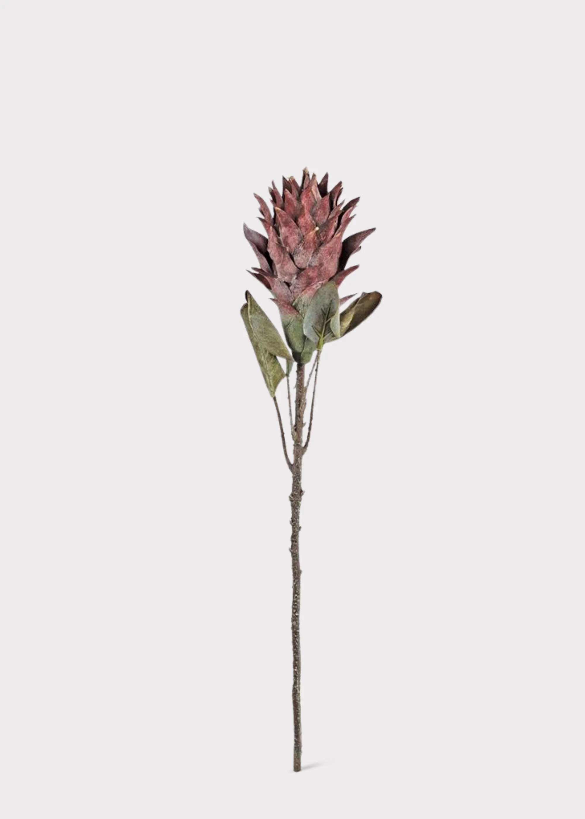 Fake Protea Tropical Flower Stem in Earthy Fall Wine Hue - 30" - Image 2