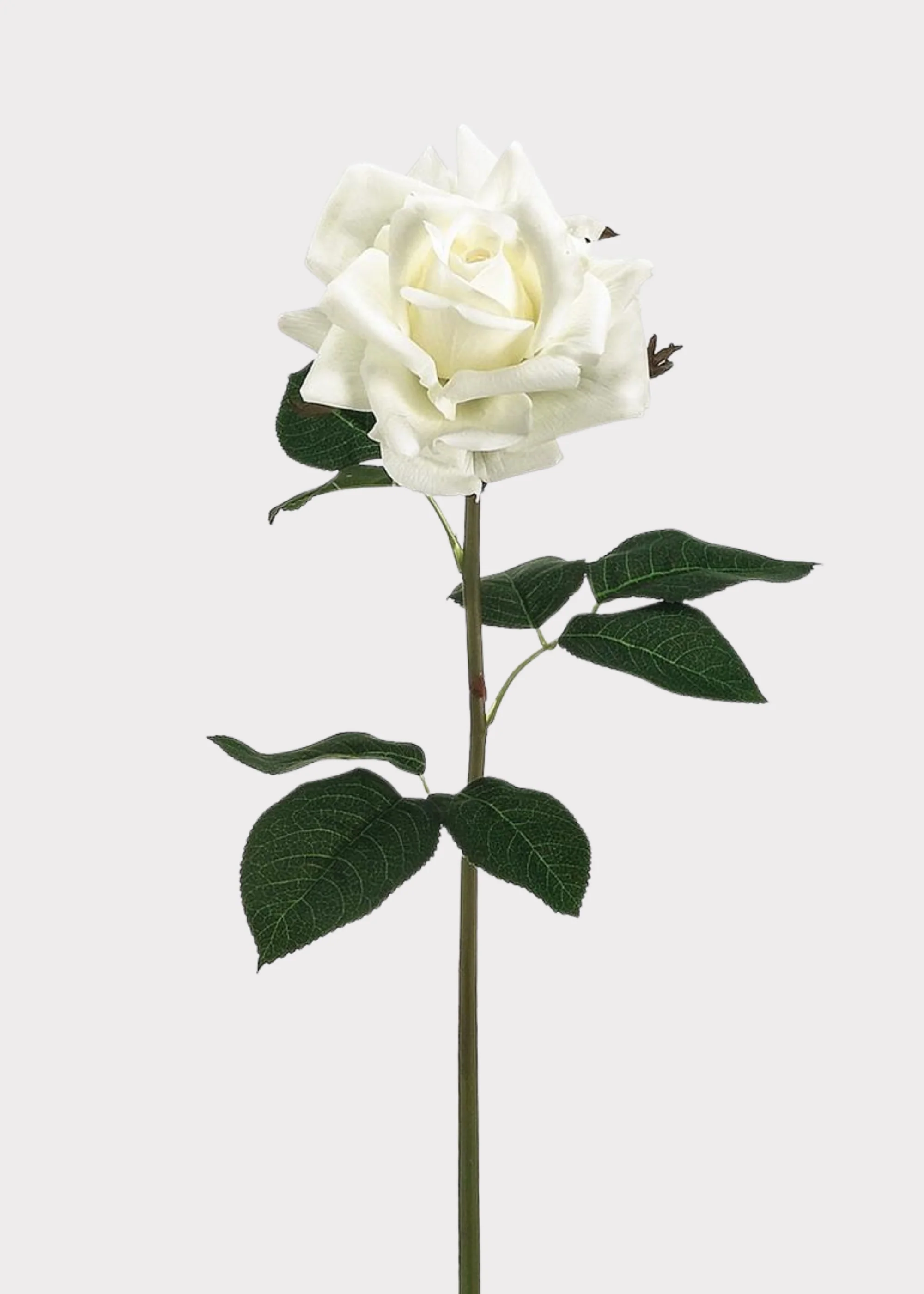 Fake Rose Real Touch Flower in White - 20.5"
