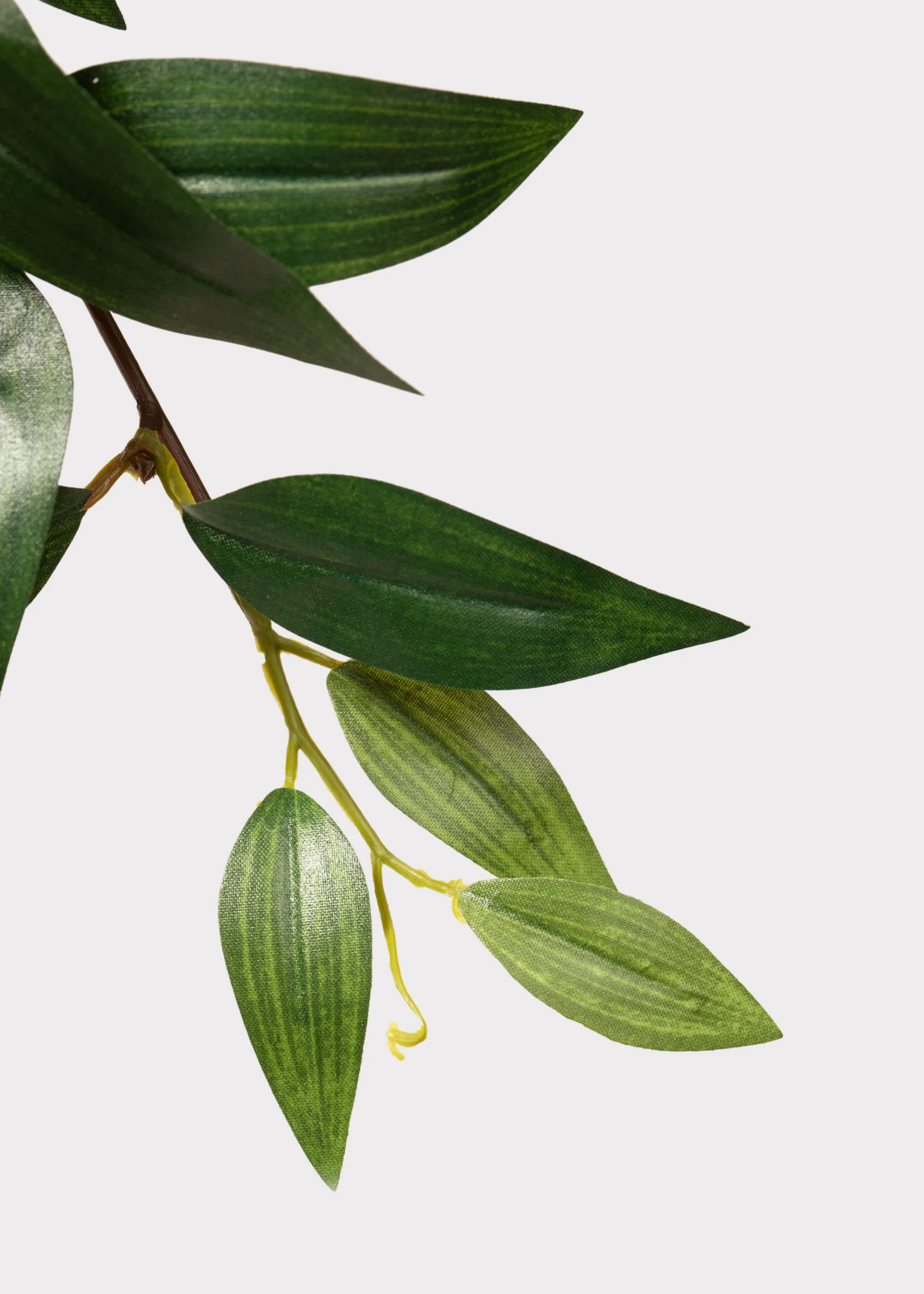 Fake Ruscus Leaf Hanging Plant - 31" - Image 3