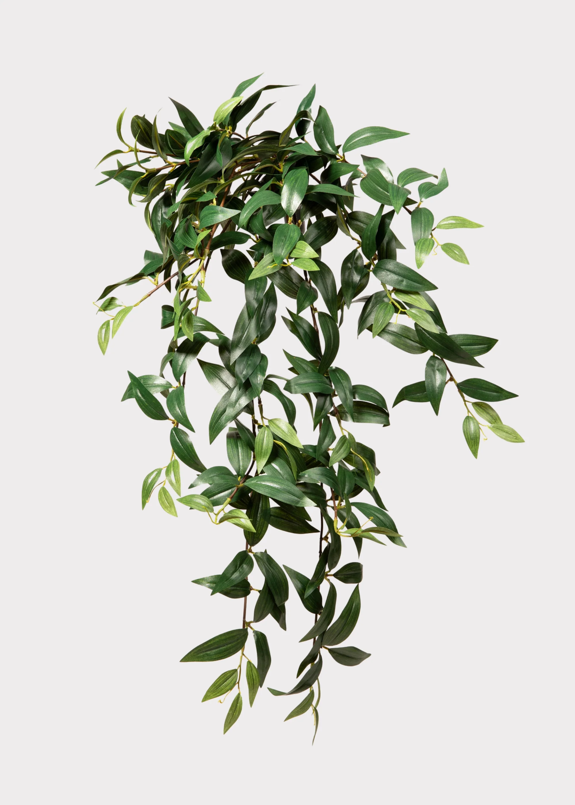 Fake Ruscus Leaf Hanging Plant - 31" - Image 4