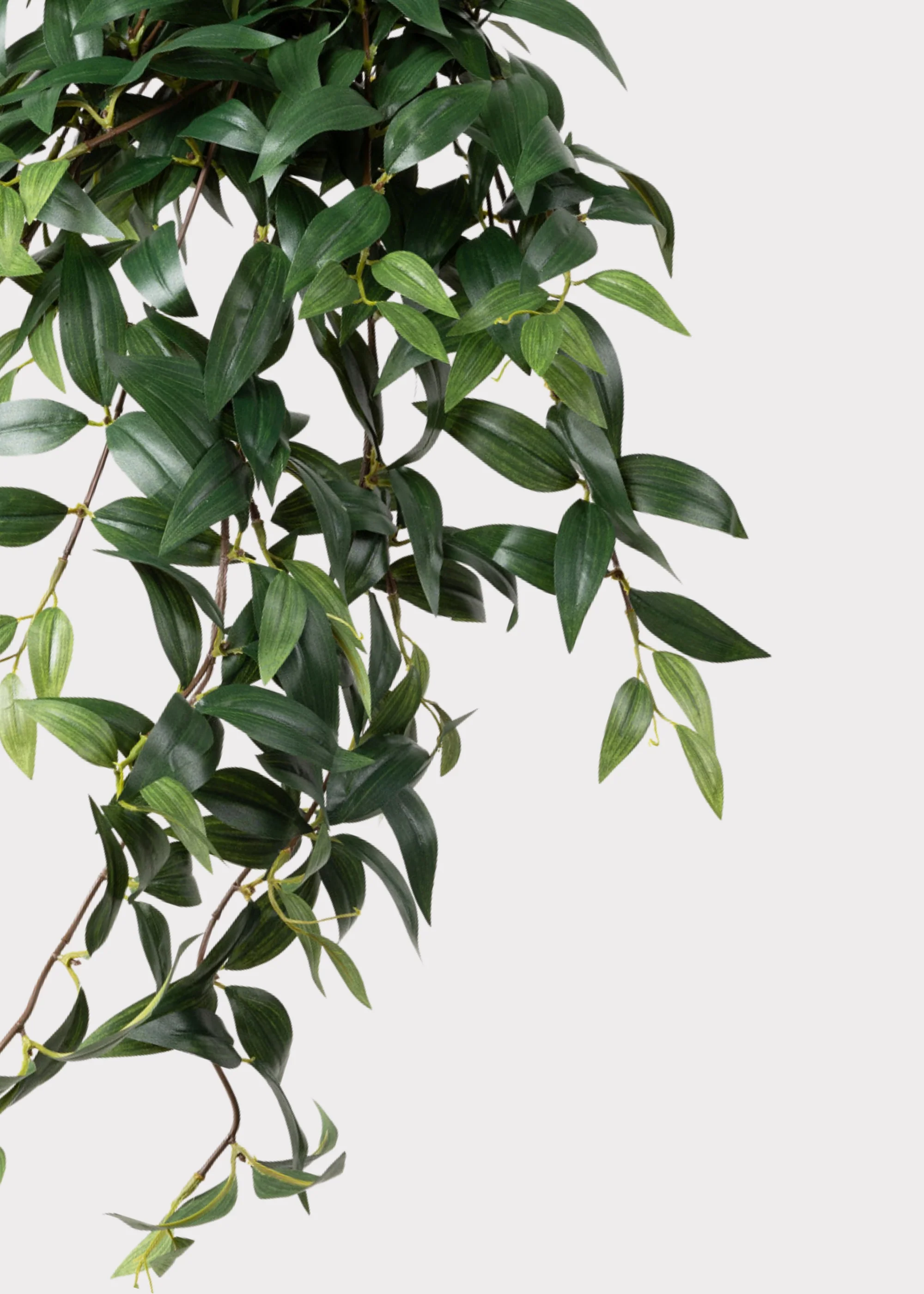Fake Ruscus Leaf Hanging Plant - 31" - Image 6