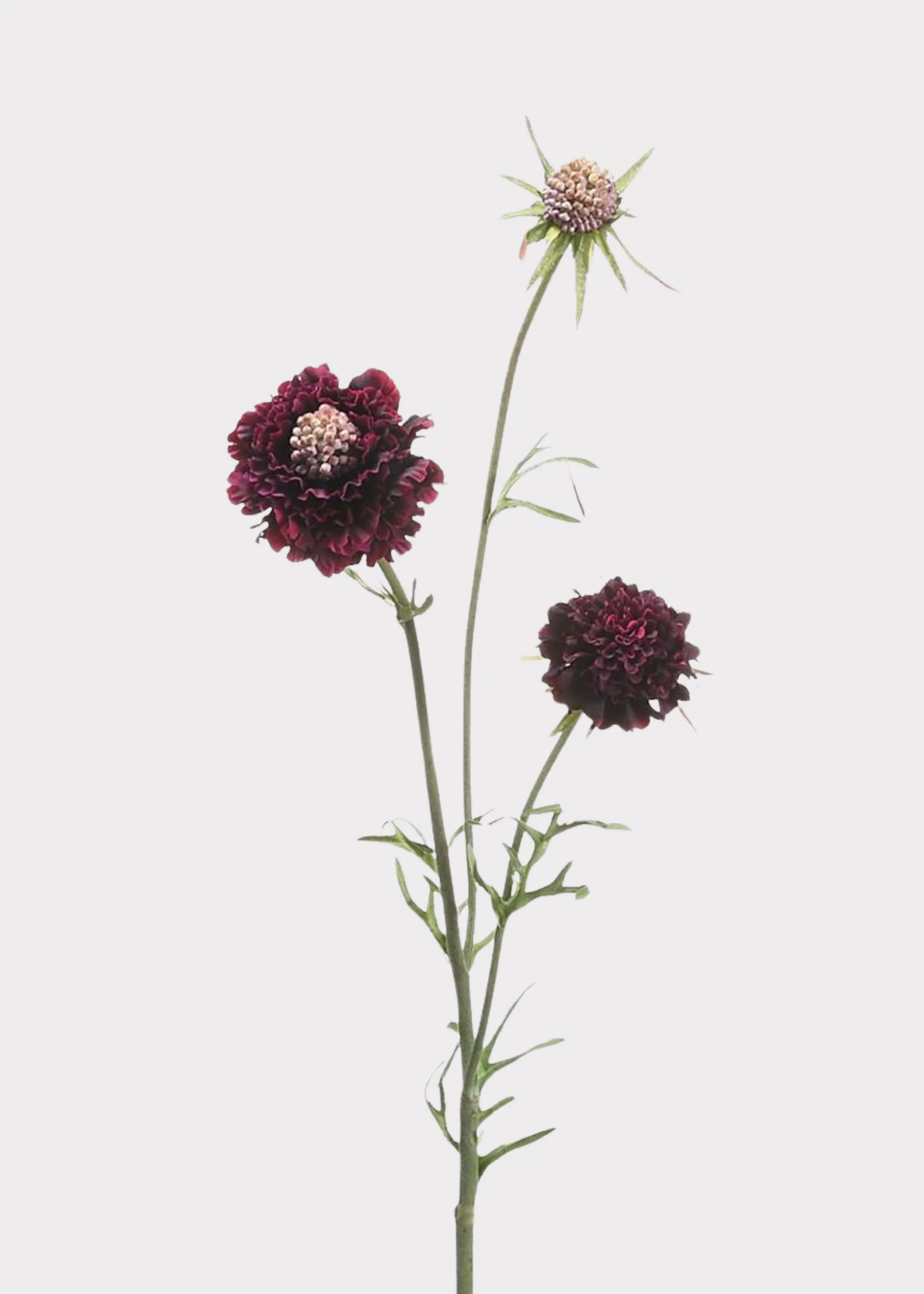 Fake Scabiosa Wildflowers in Eggplant - 28"