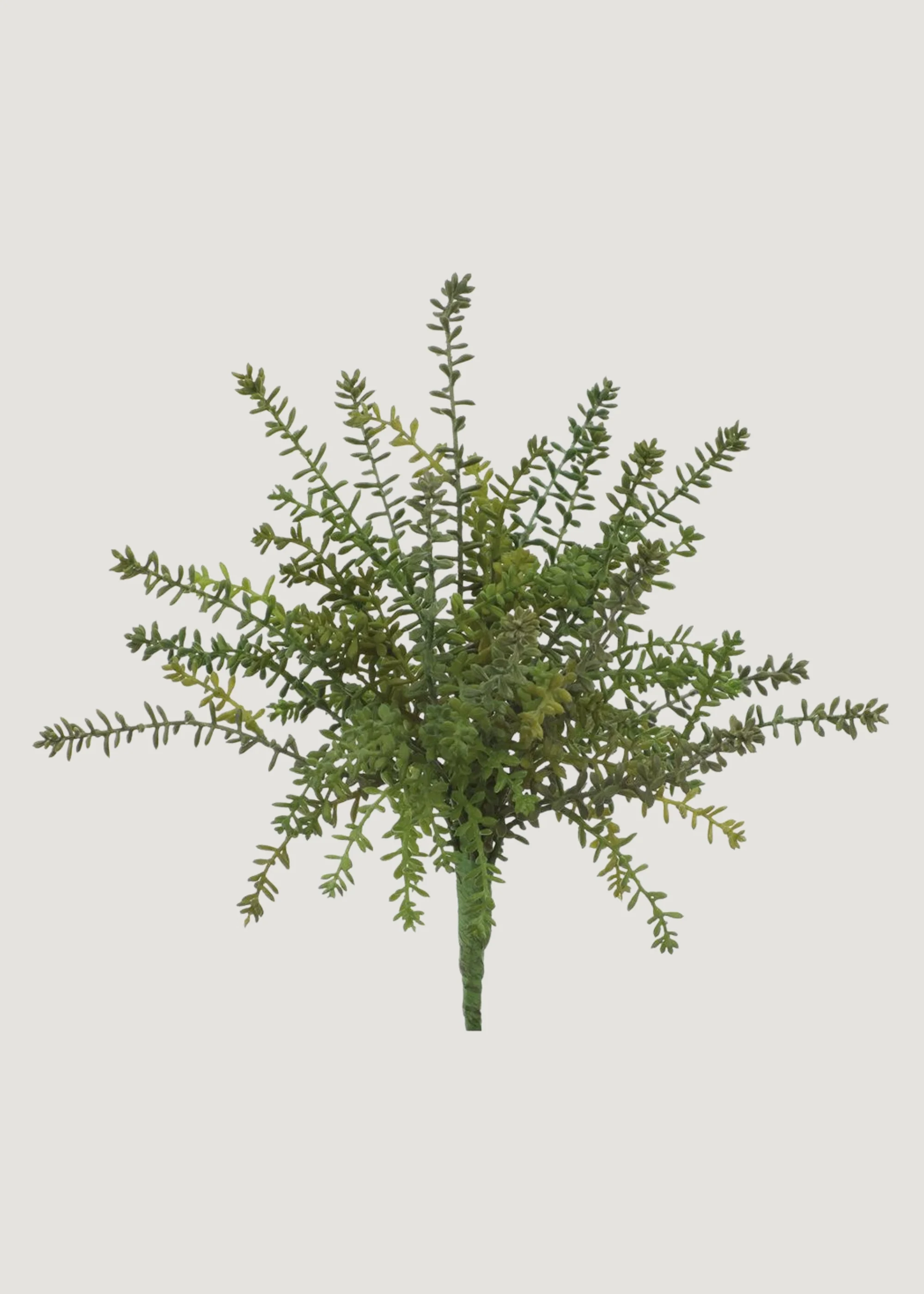 Fake Succulents Green Sedum Bush - 15.5"