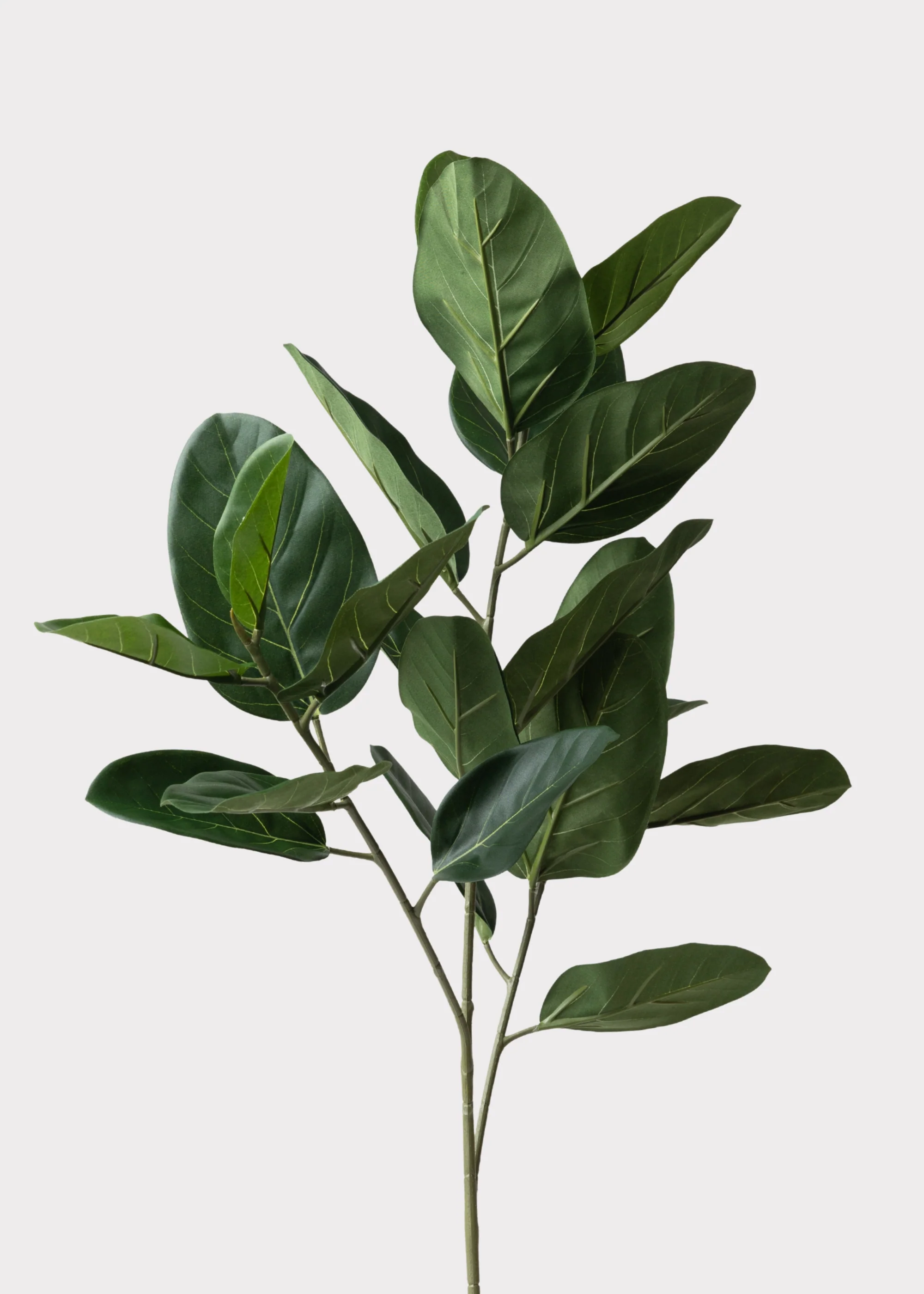 Fake UV Treated Indoor/Outdoor Ficus Audrey Leaf Branch - 35"