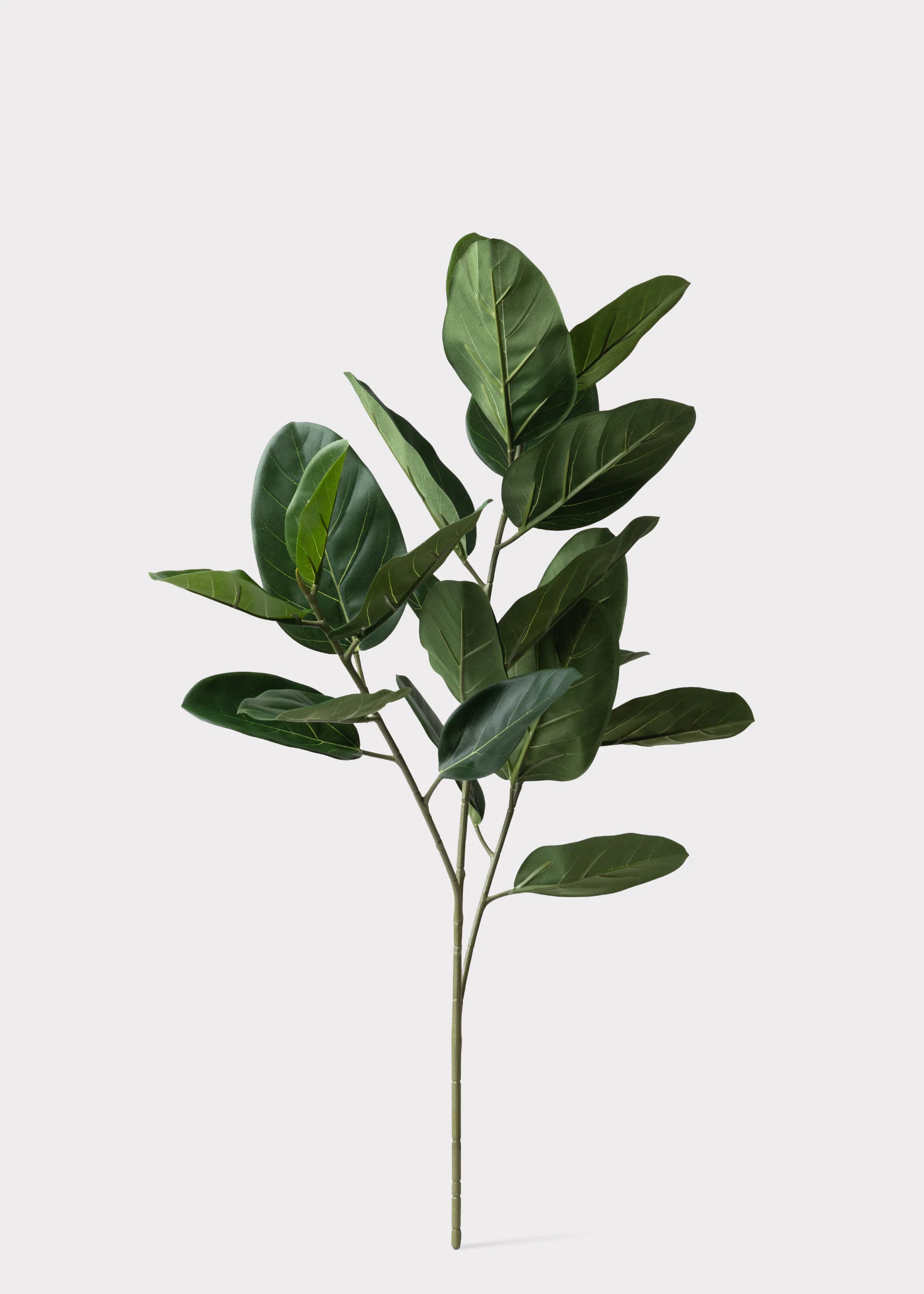 Fake UV Treated Indoor/Outdoor Ficus Audrey Leaf Branch - 35" - Image 2