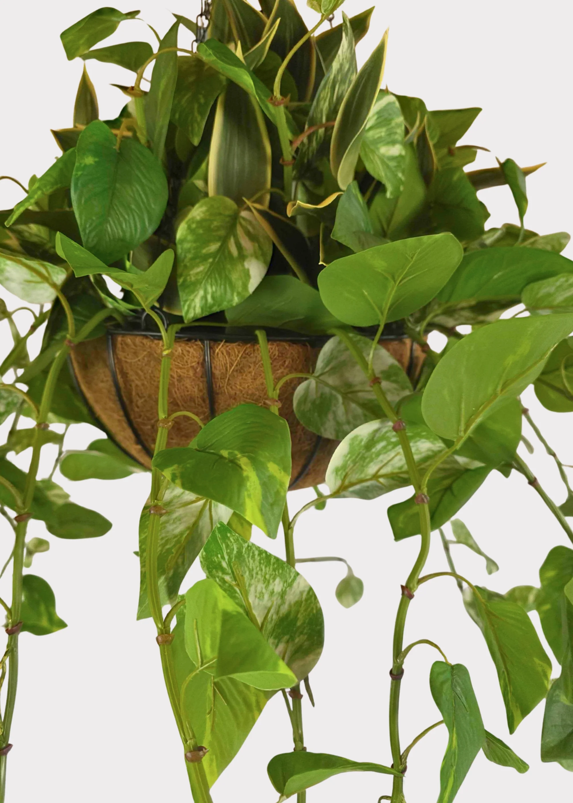 Fake UV Treated Outdoor Potted Plant in Hanging Basket - 42" - Image 4