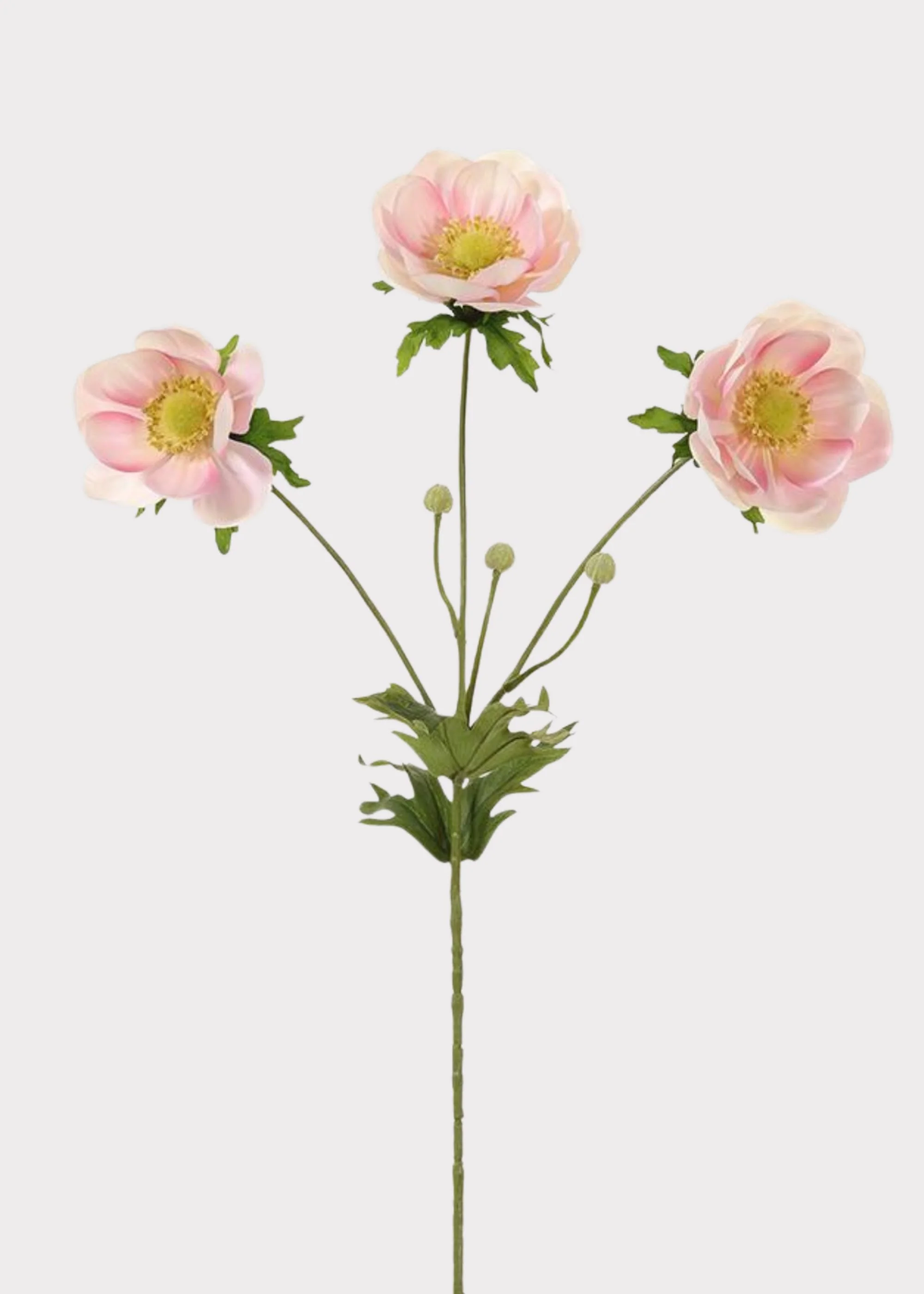 Fake Wild Anemone Flowers in Pink Cream - 29"