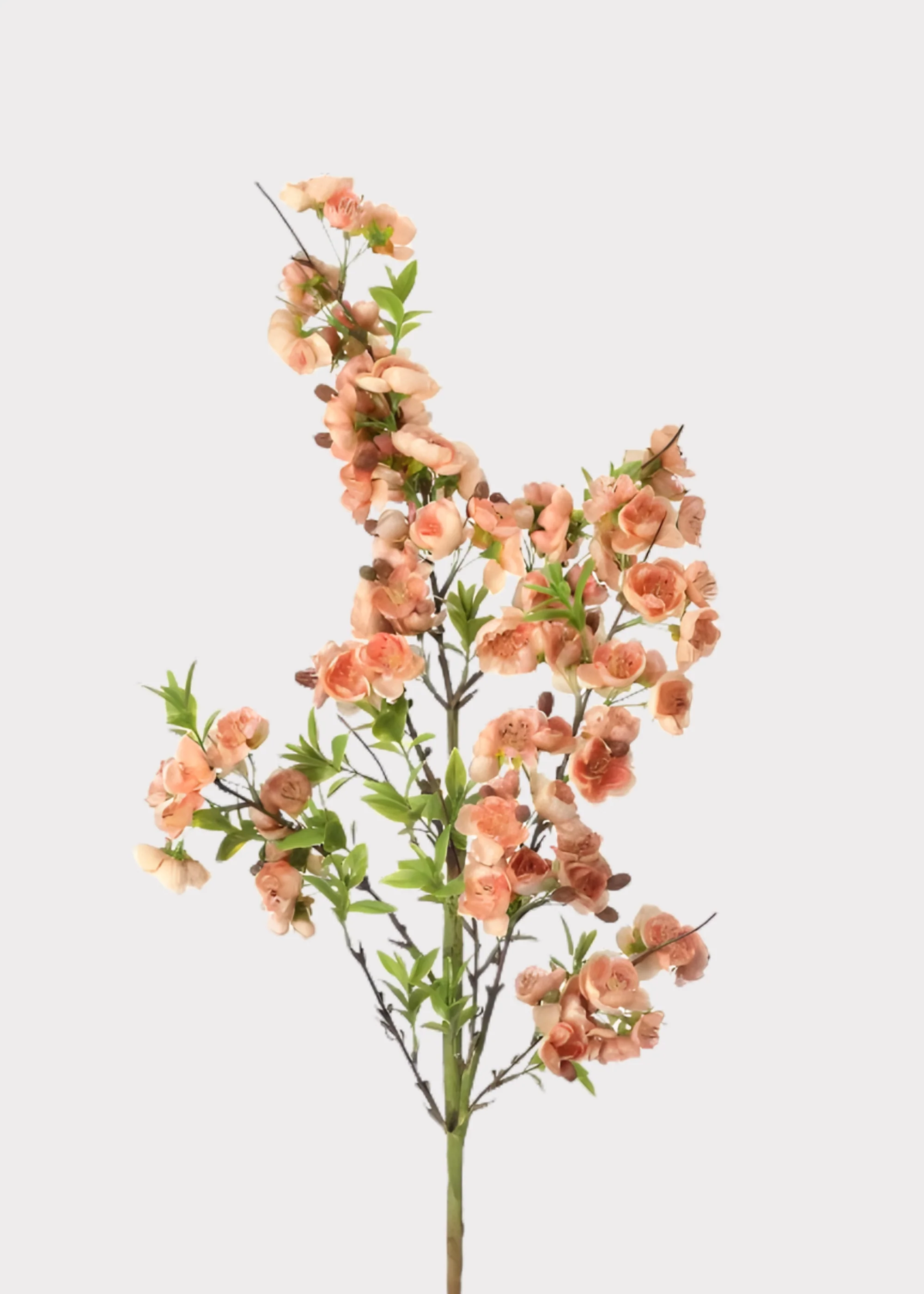 Fake Wild Apple Blossom Flower Branch in Peach - 38"