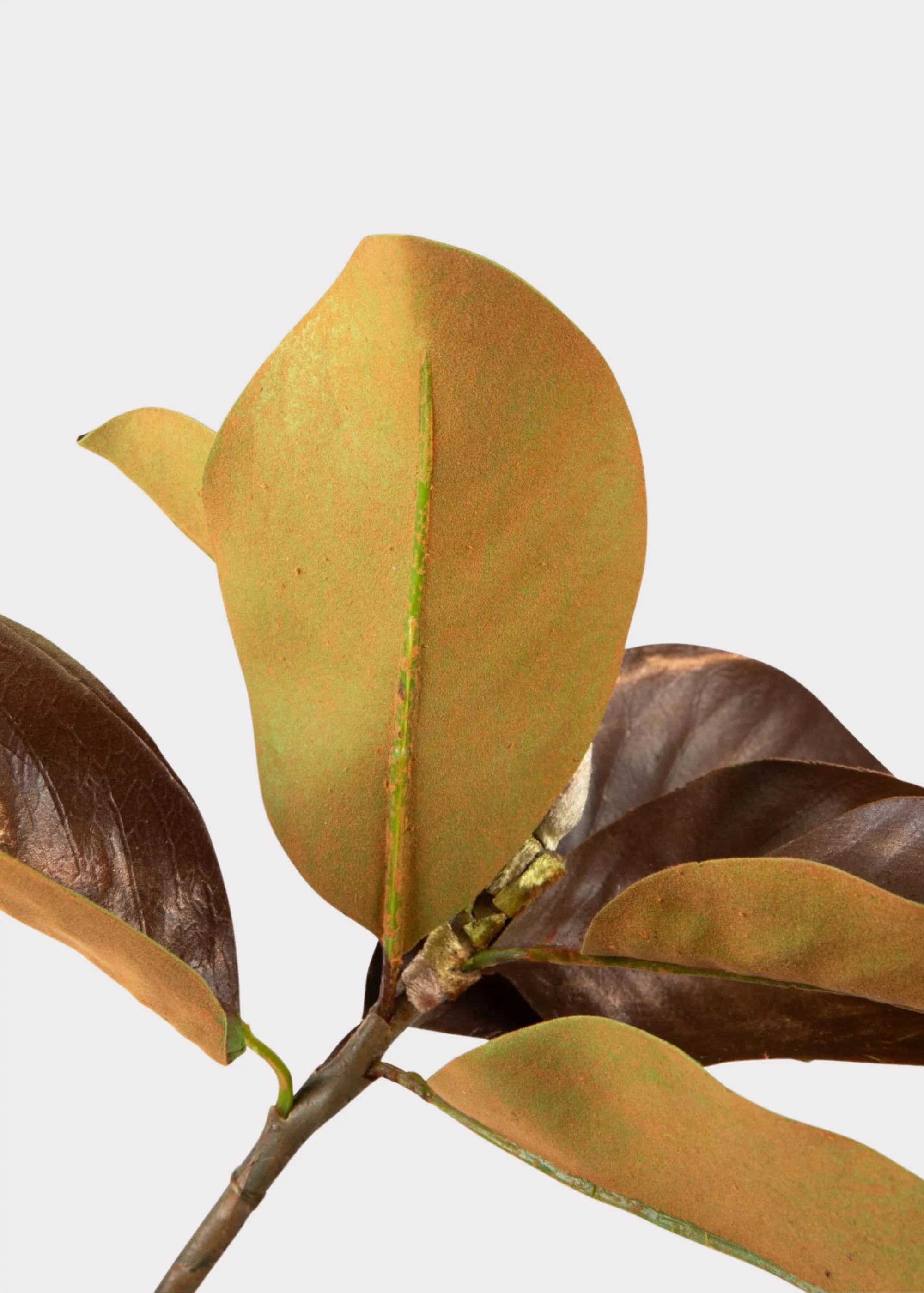 SAVE - Warm Brown Fake Magnolia Leaf Branch - 38.5" - Image 5
