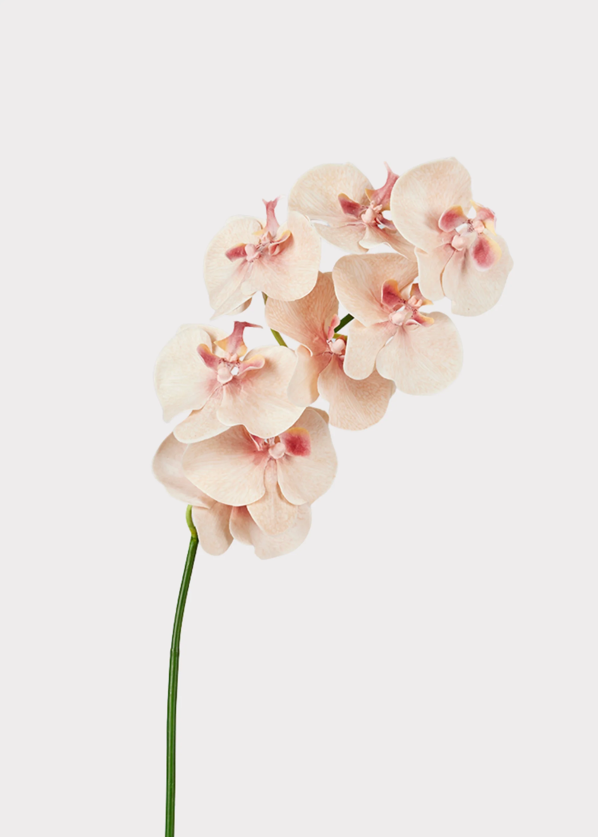 Fake Blooming Phalaenopsis Orchids in Peach Pink - 40" - Image 4