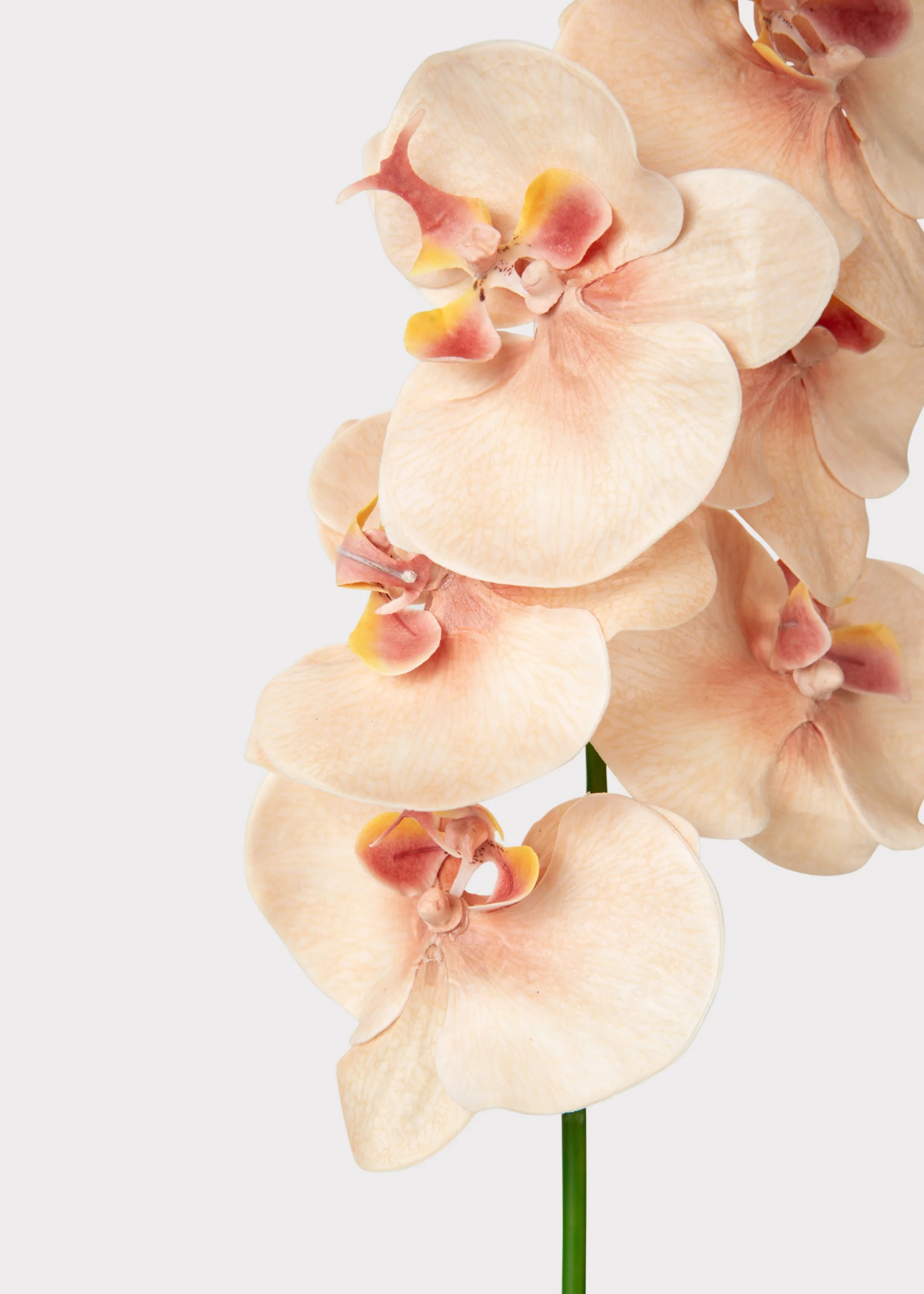 Fake Blooming Phalaenopsis Orchids in Peach Pink - 40" - Image 5