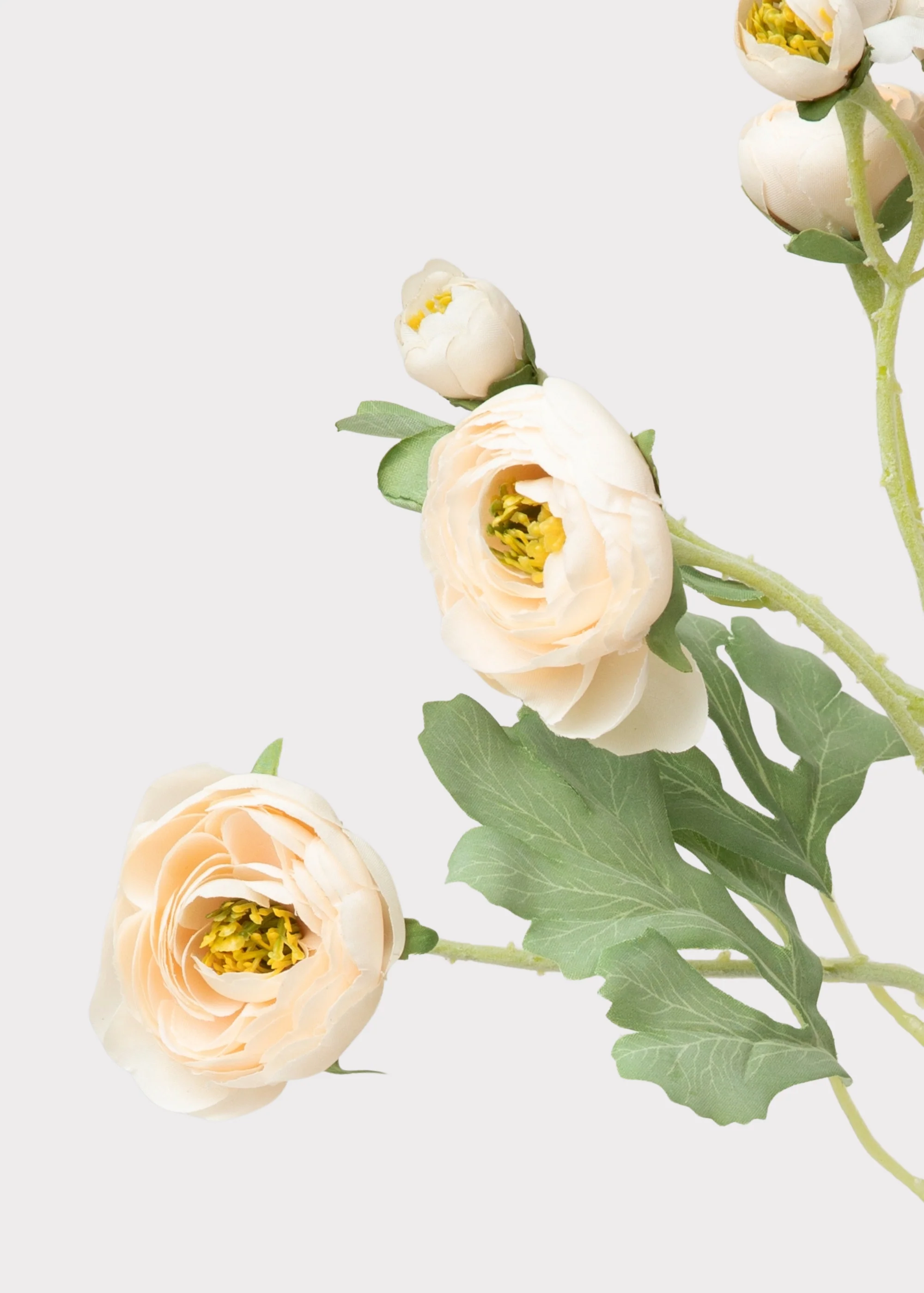 Artificial Blooming Ranunculus Flowers in Blush Peach - 21" - Image 4