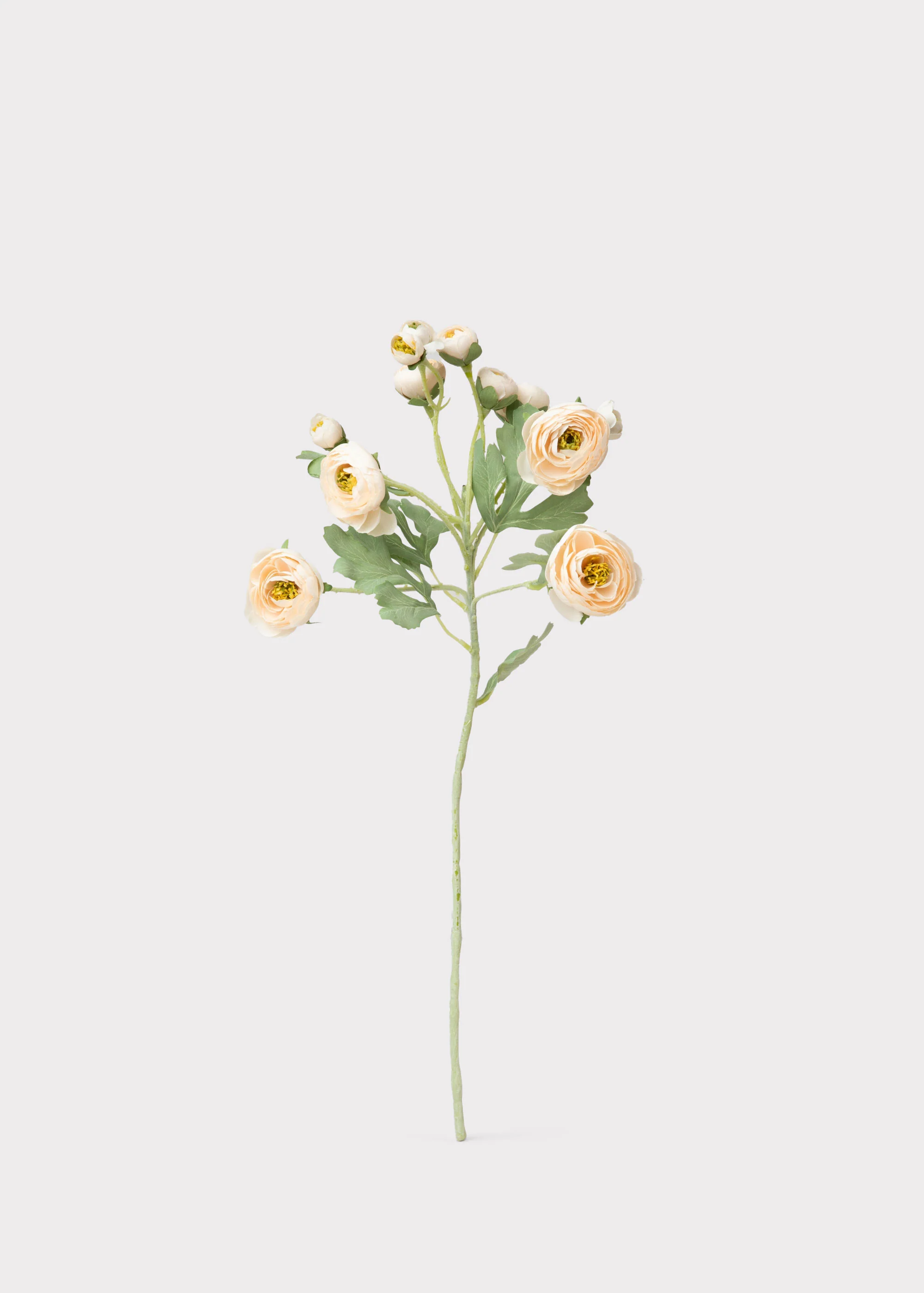 Artificial Blooming Ranunculus Flowers in Blush Peach - 21" - Image 5