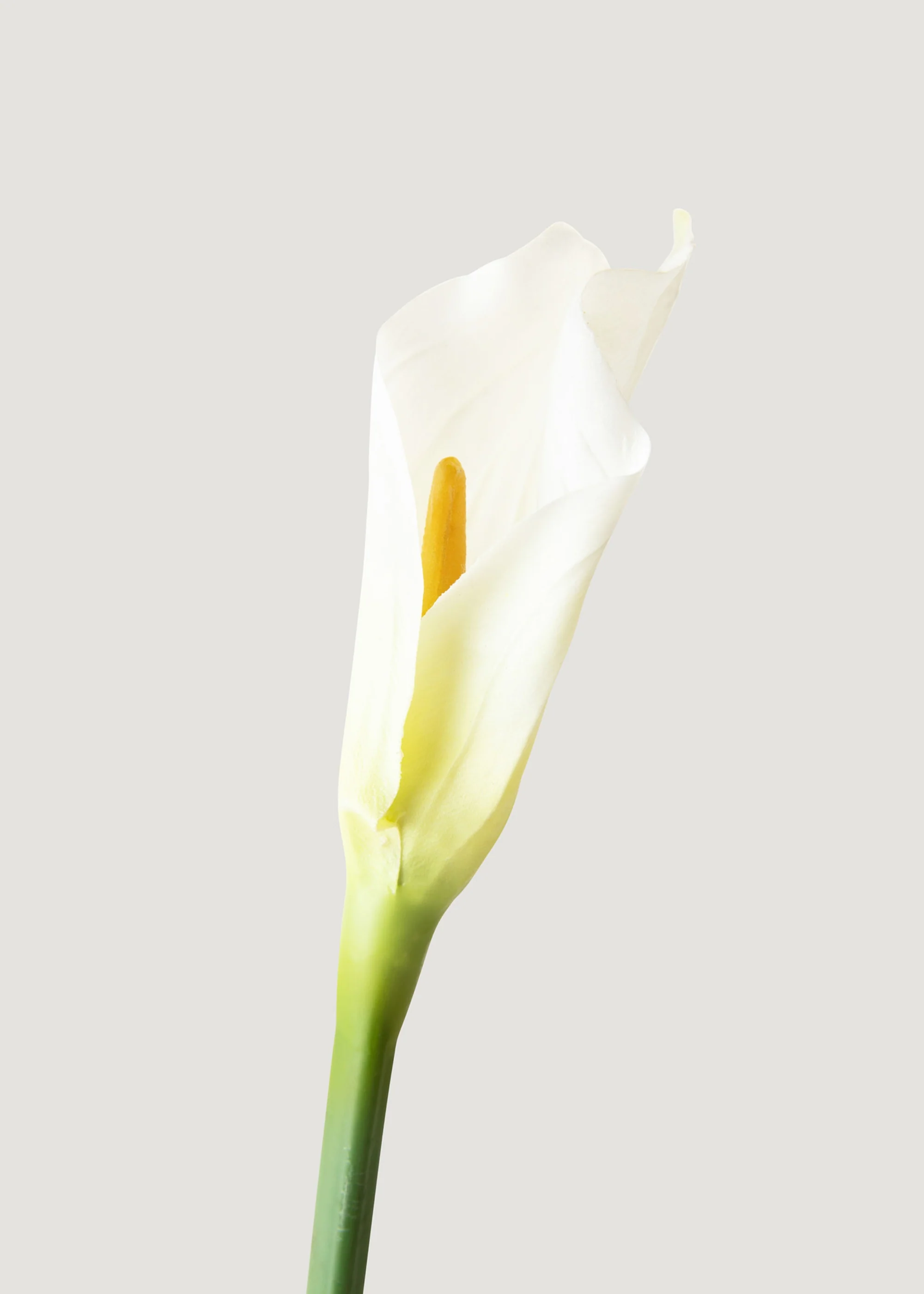 Case of 12 Artificial Calla Lily Stems in Cream 37" - Image 2