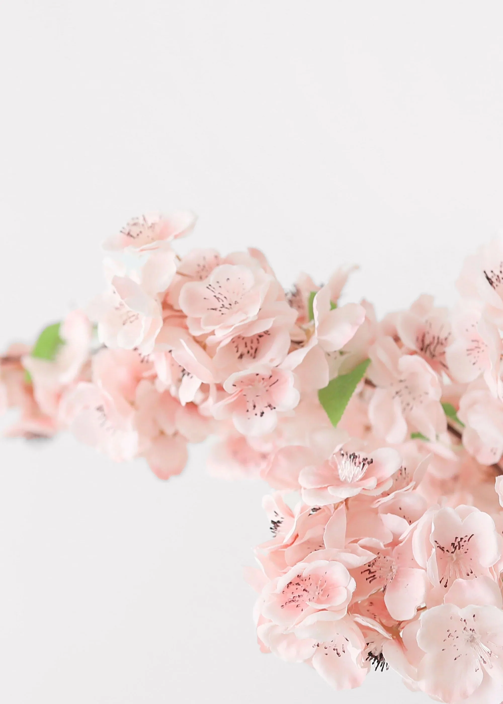 Faux Cherry Blossom in Pink - 44" - Image 3