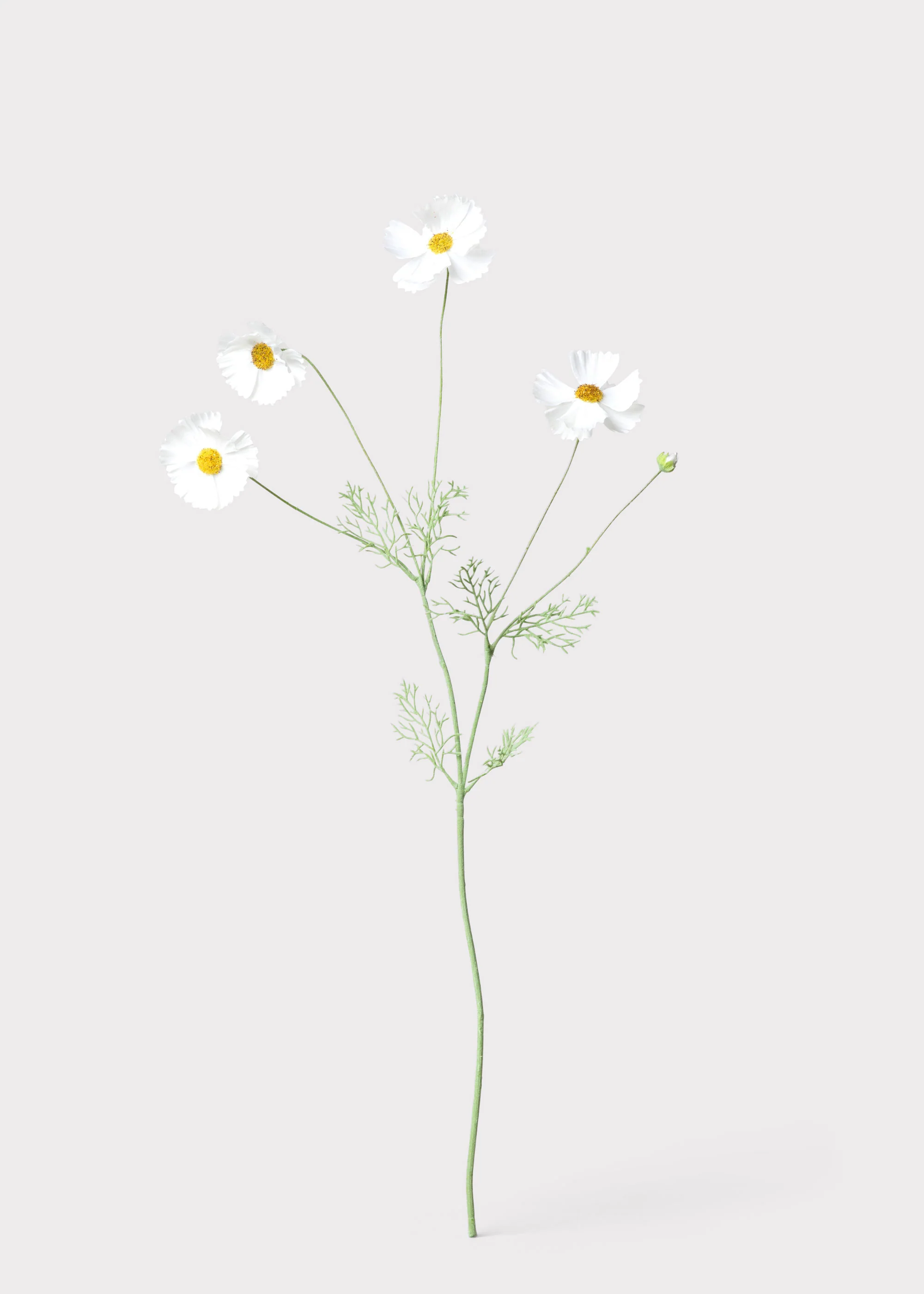 Fake Cosmos Daisy Wildflowers in White - 36.25" - Image 4