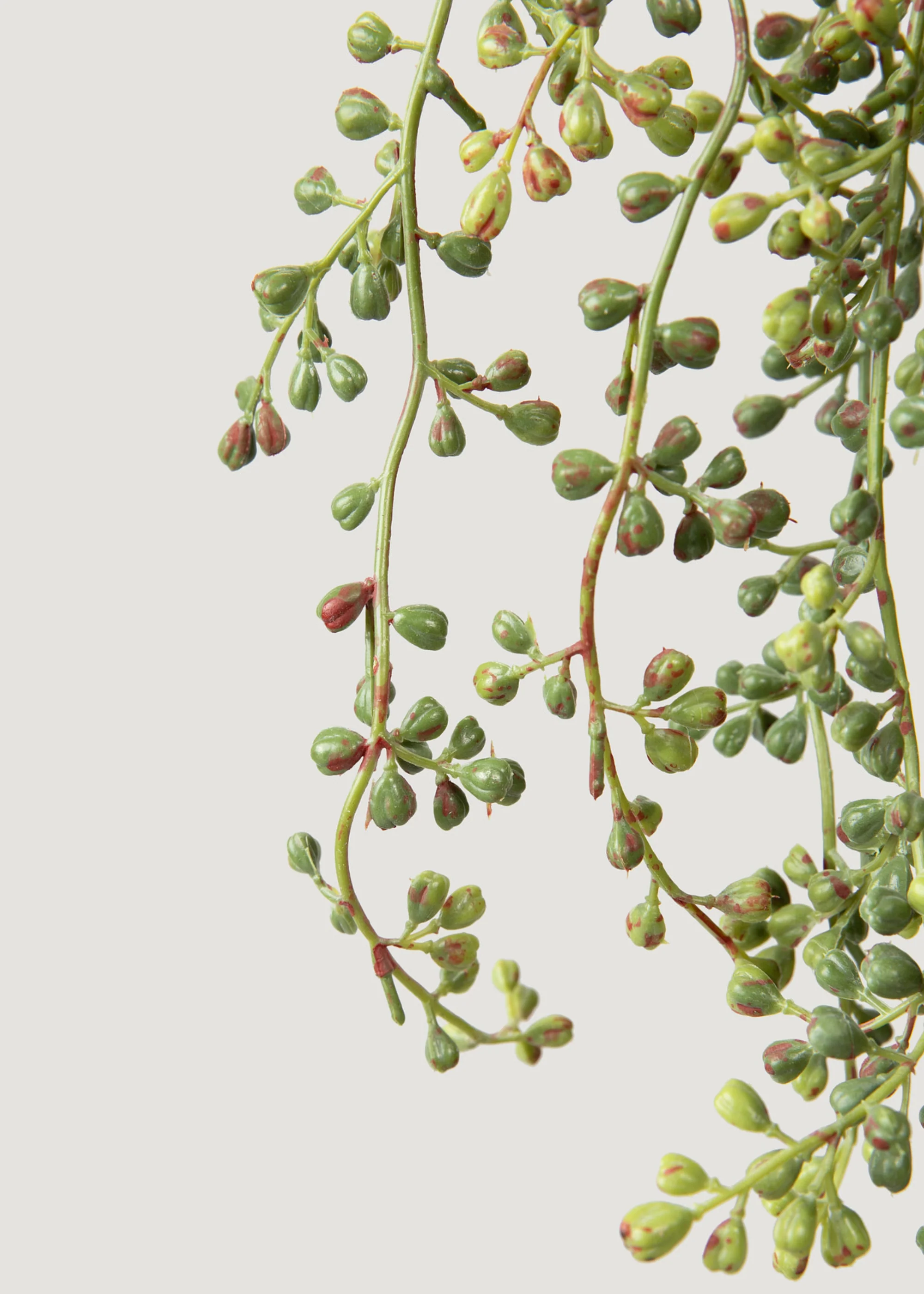 Hanging String of Pearls Fake Succulent Bush - 24" - Image 3