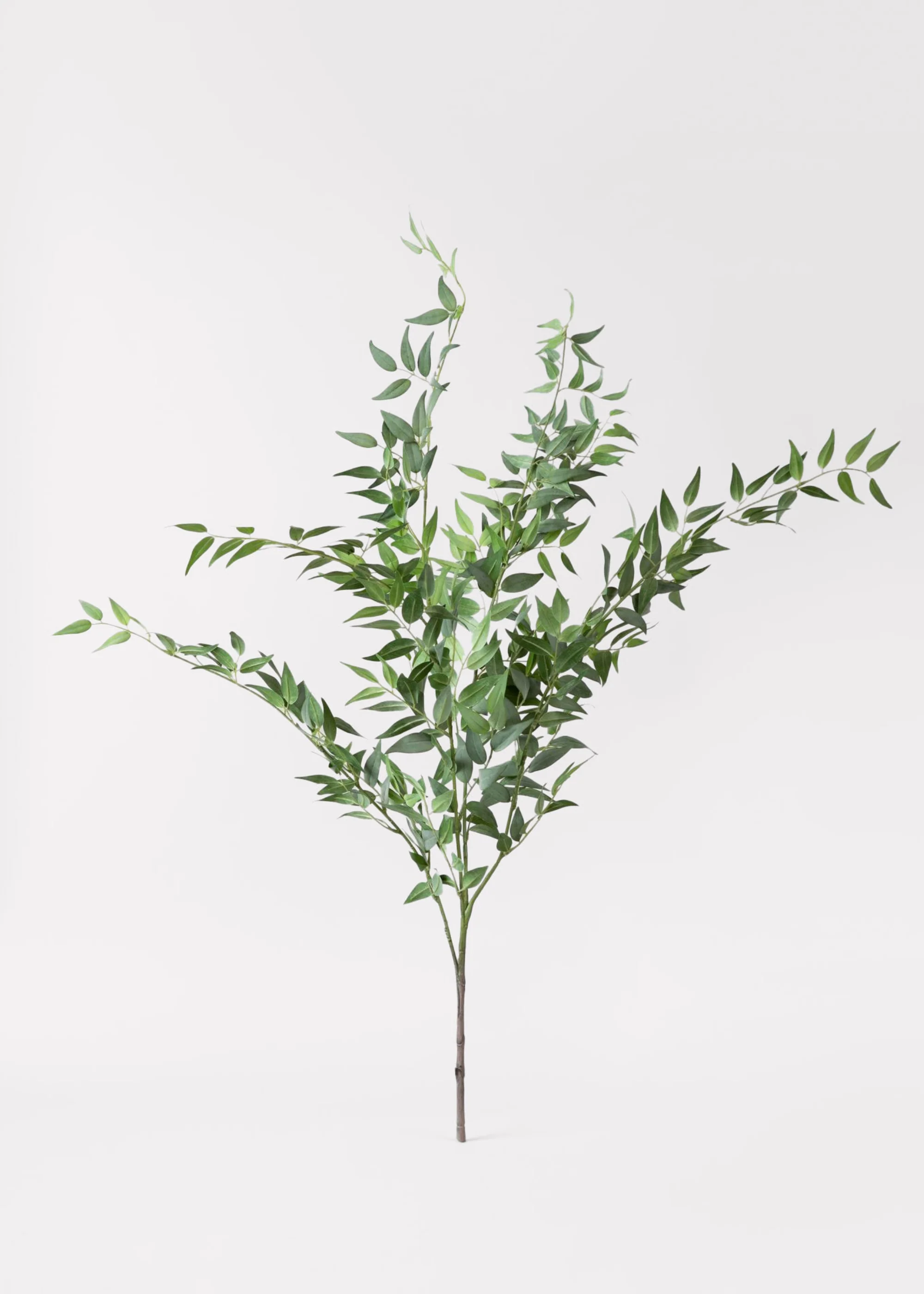 Faux Italian Ruscus Spray - 46"