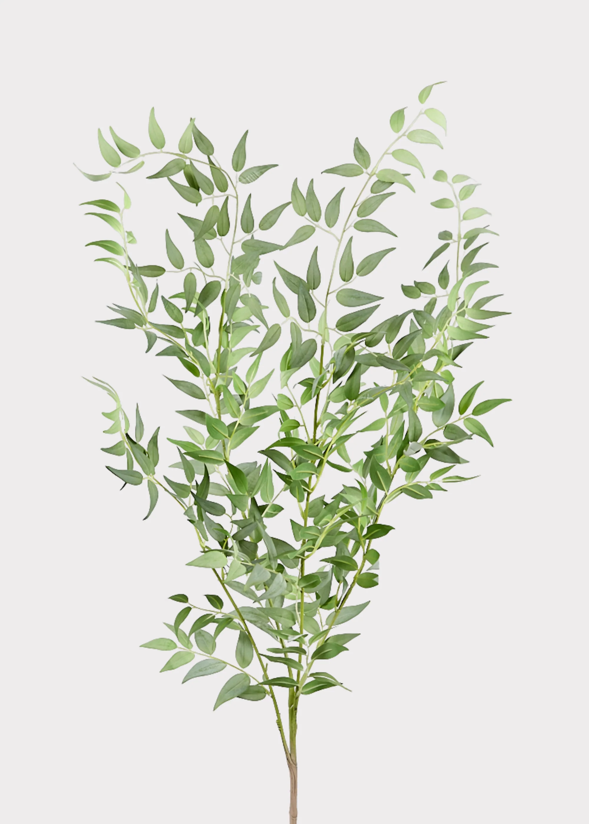 Faux Italian Ruscus Spray - 46" - Image 3