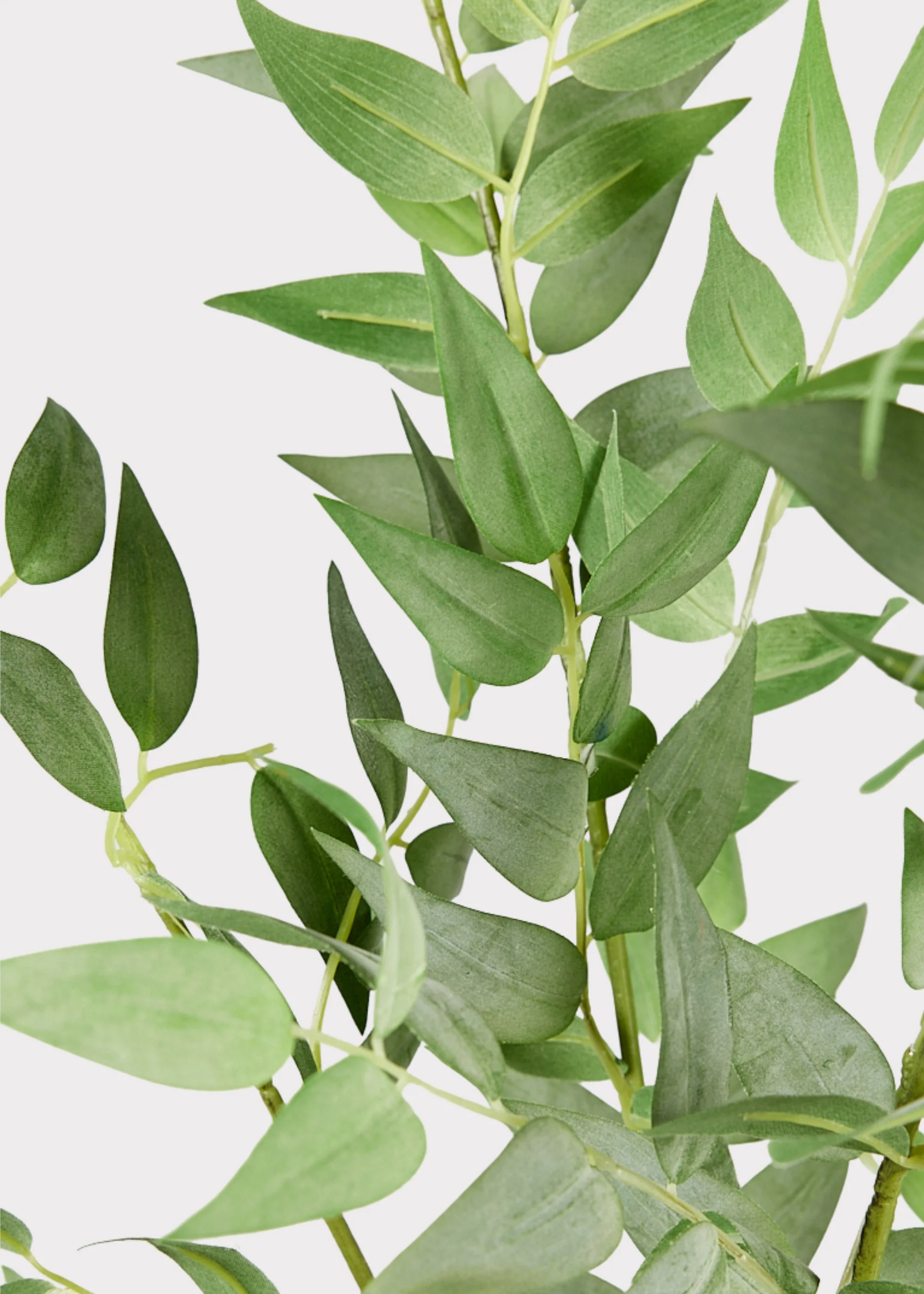 Faux Italian Ruscus Spray - 46" - Image 4