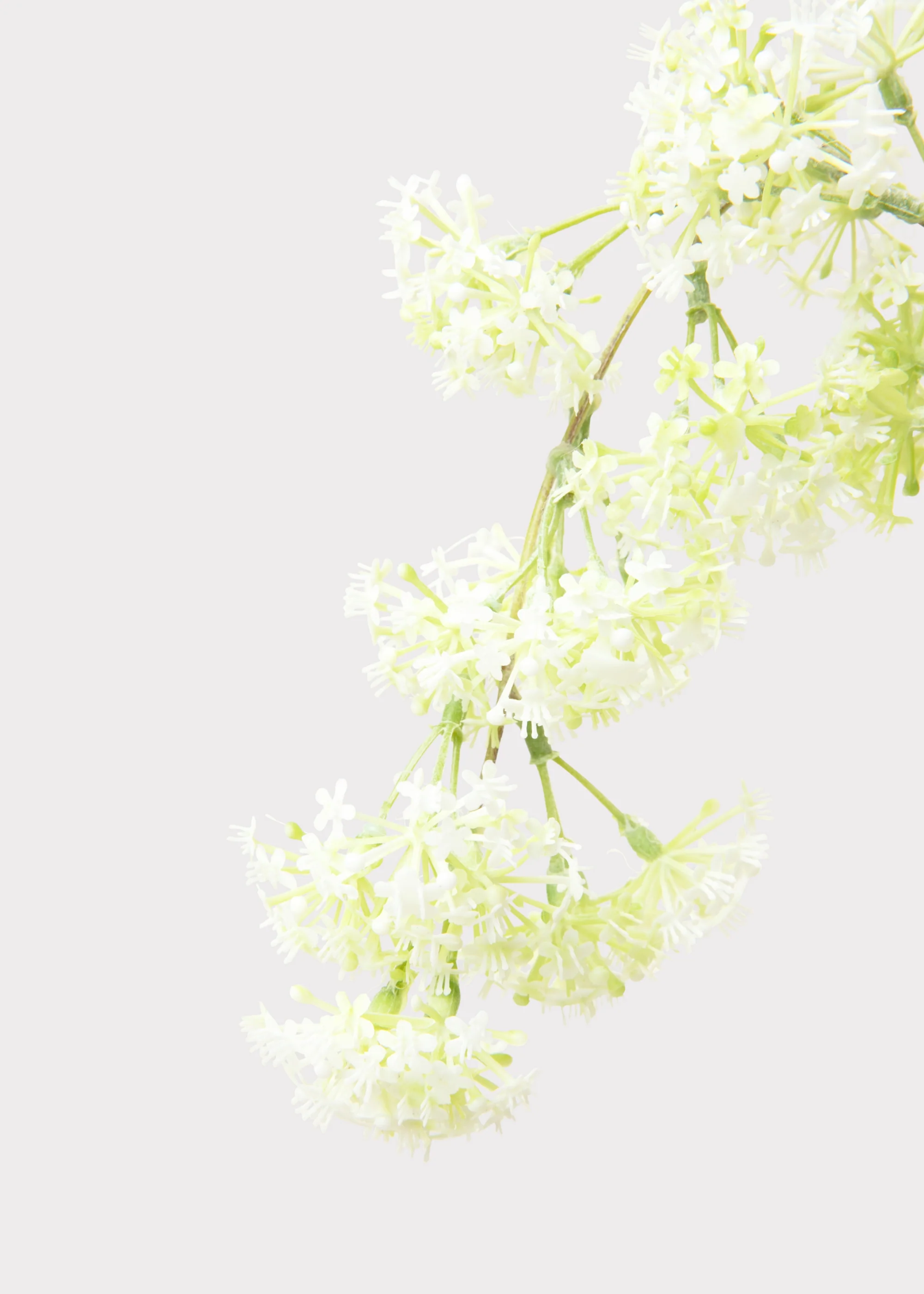 Faux Laurel Hanging Flower Branch in White - 30" - Image 3
