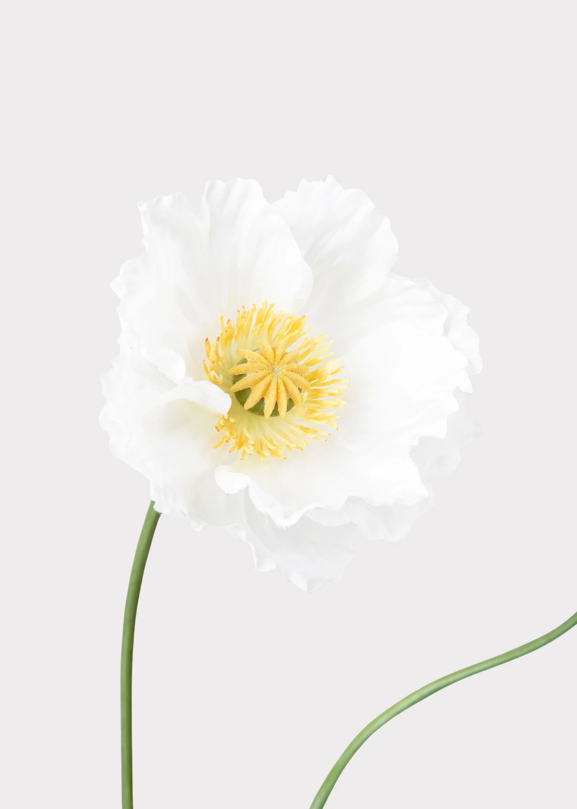 Faux Poppy Flower in Cream White - 31" - Image 3