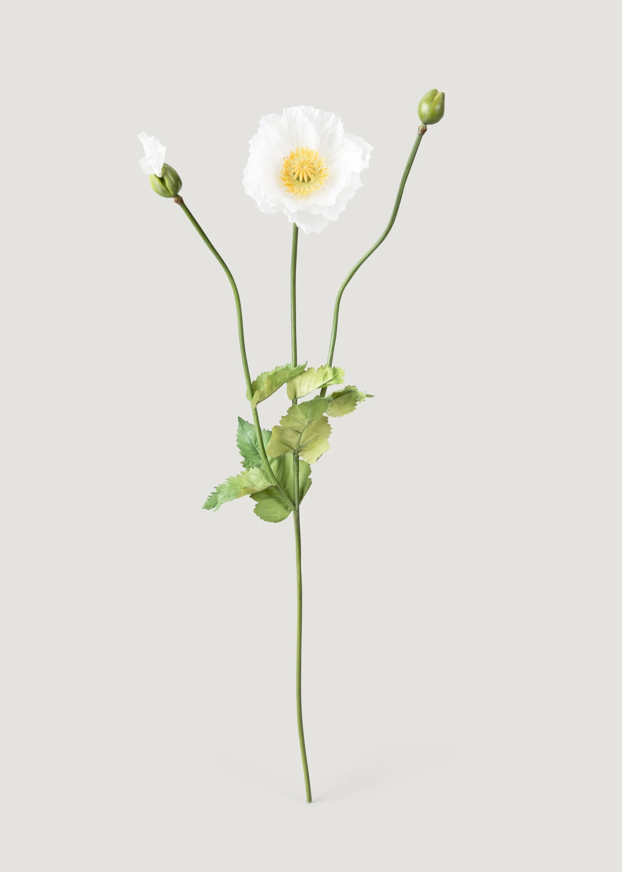 Faux Poppy Flower in Cream White - 31" - Image 4