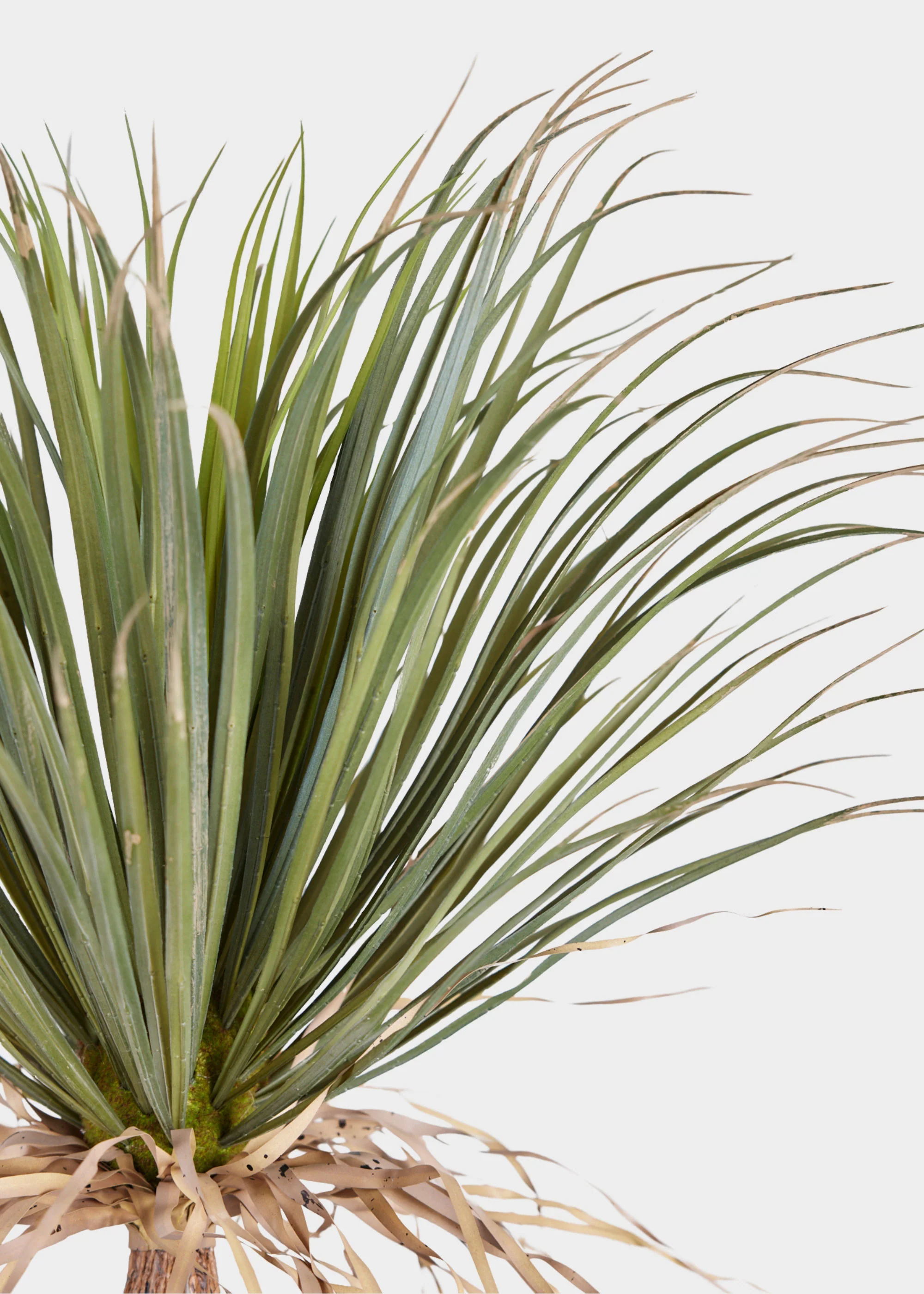 Faux Potted Palm Tree Plant in Cement Planter - 40" - Image 4
