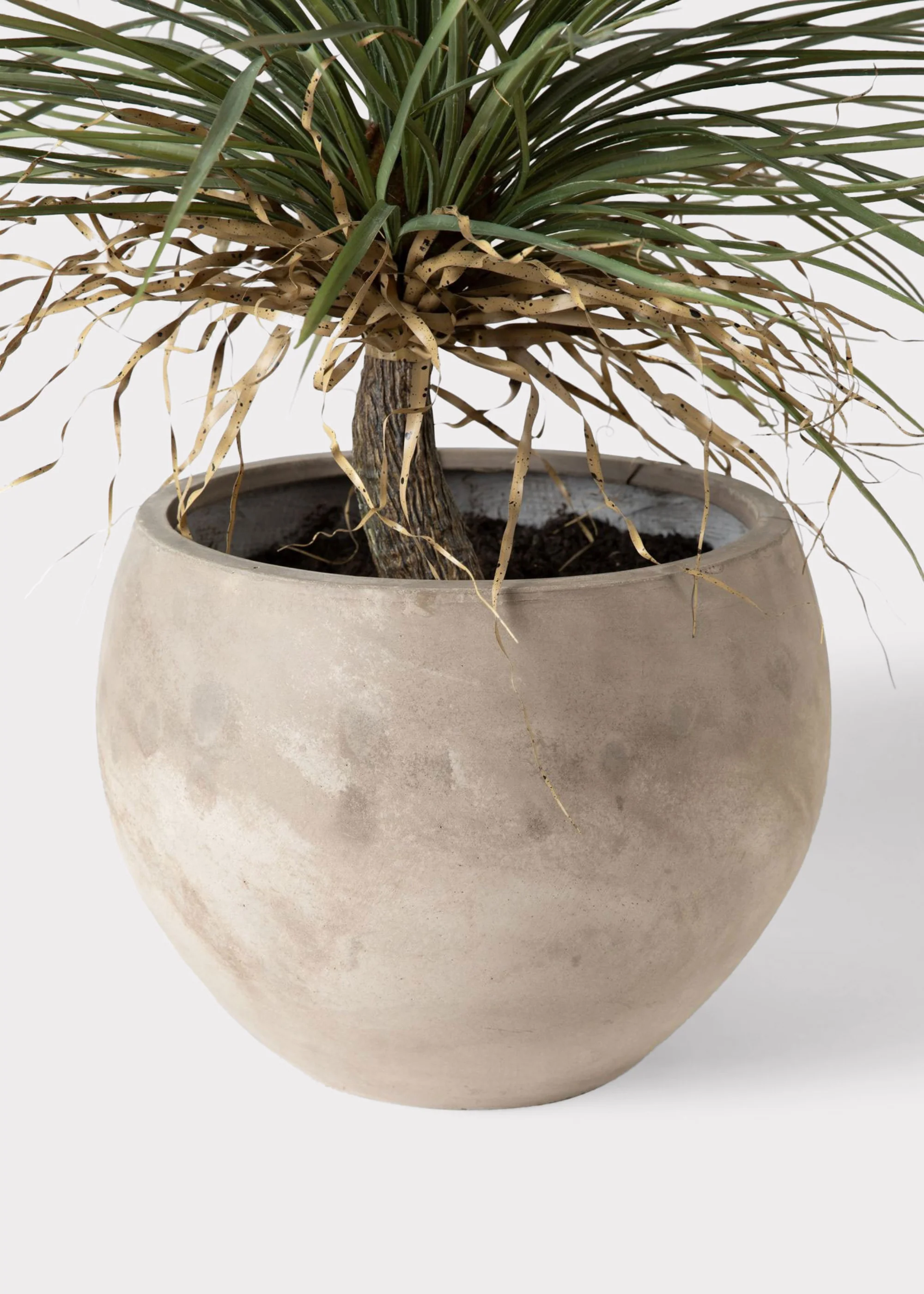 Faux Potted Palm Tree Plant in Cement Planter - 40" - Image 5